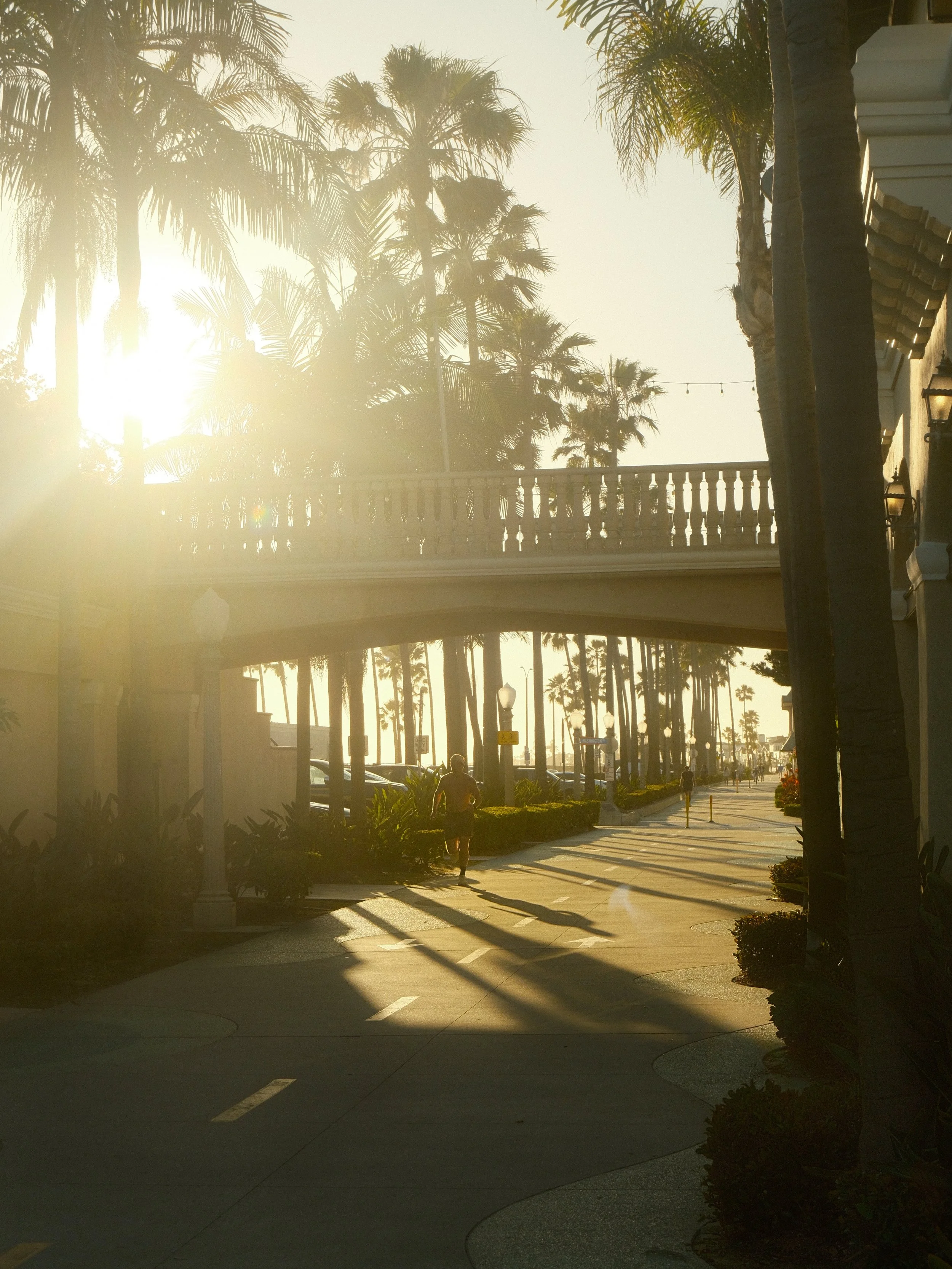 A Runner in the Sun_15mb.jpg