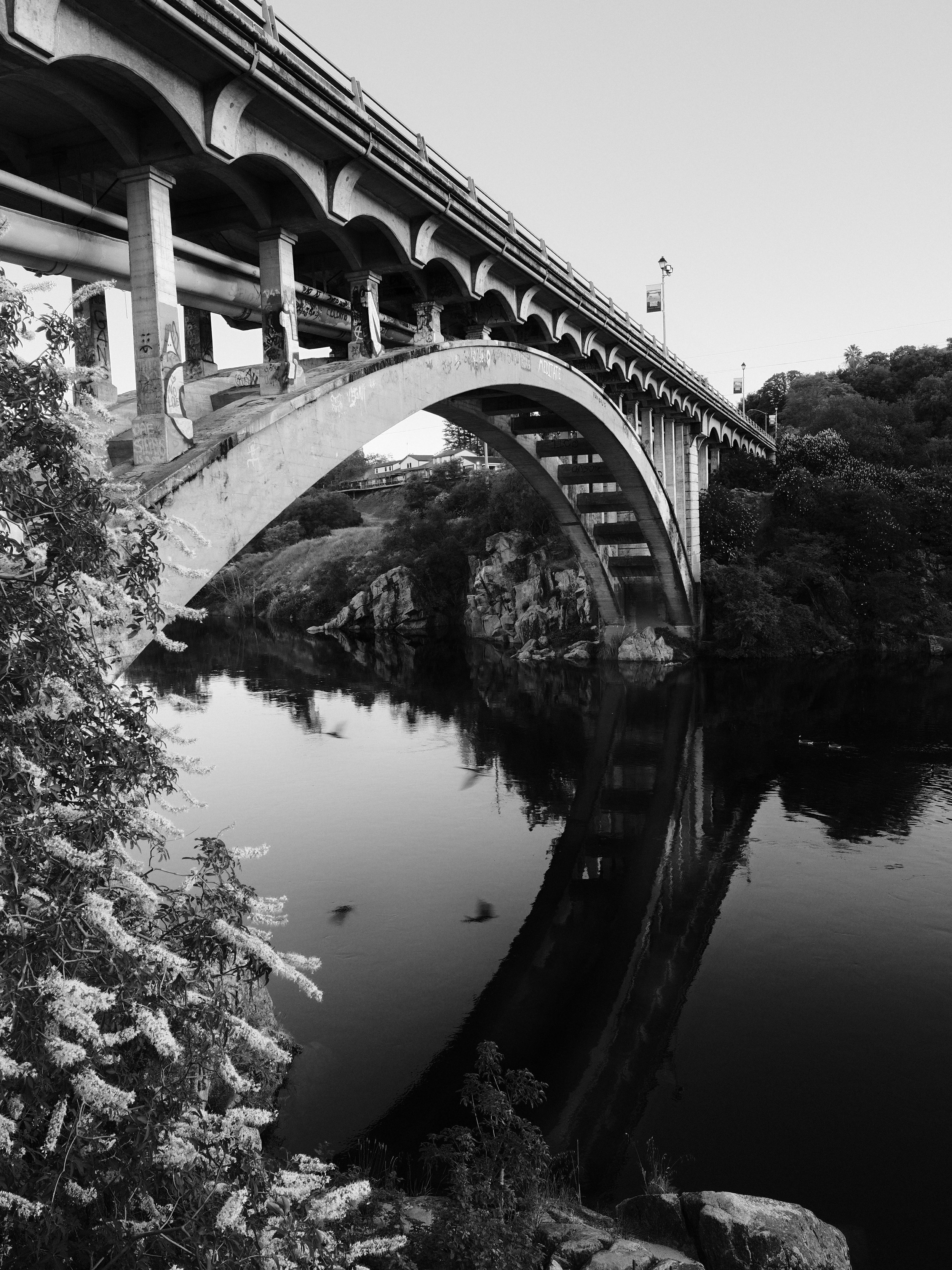Rainbow Bridge over Geese_7MB.jpg