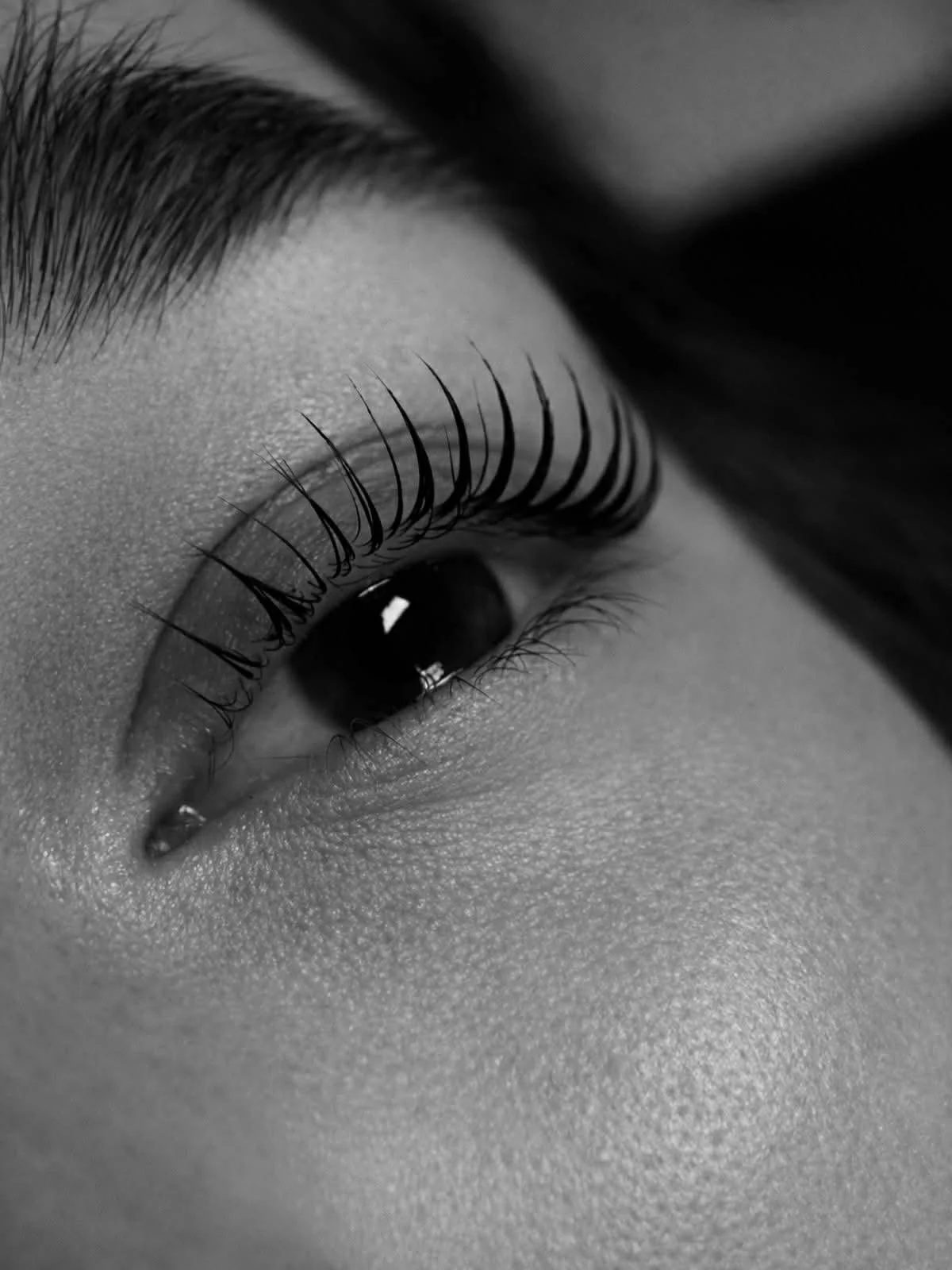Korean Lash Lift + Tint