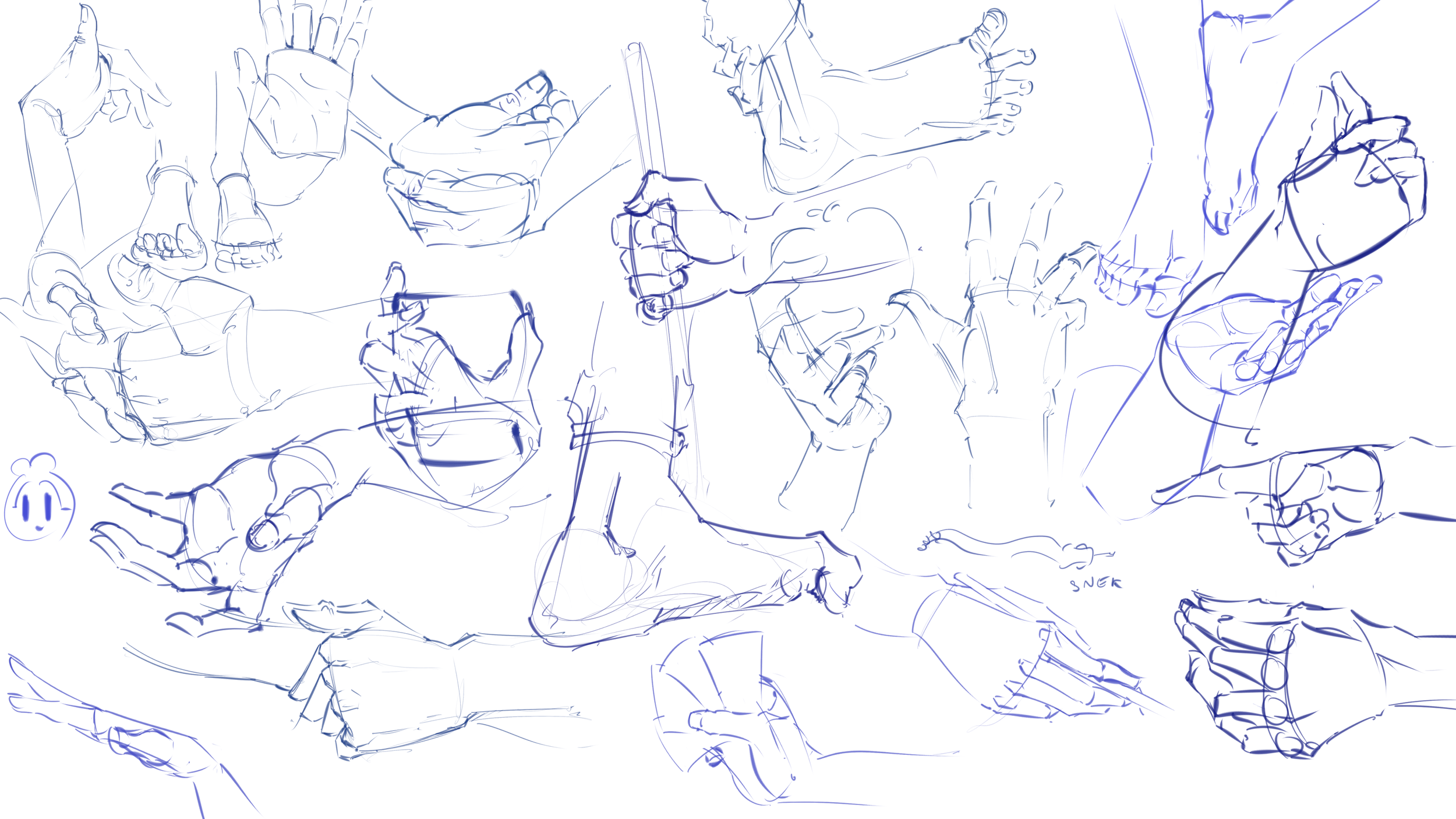 Hands & Feet.png