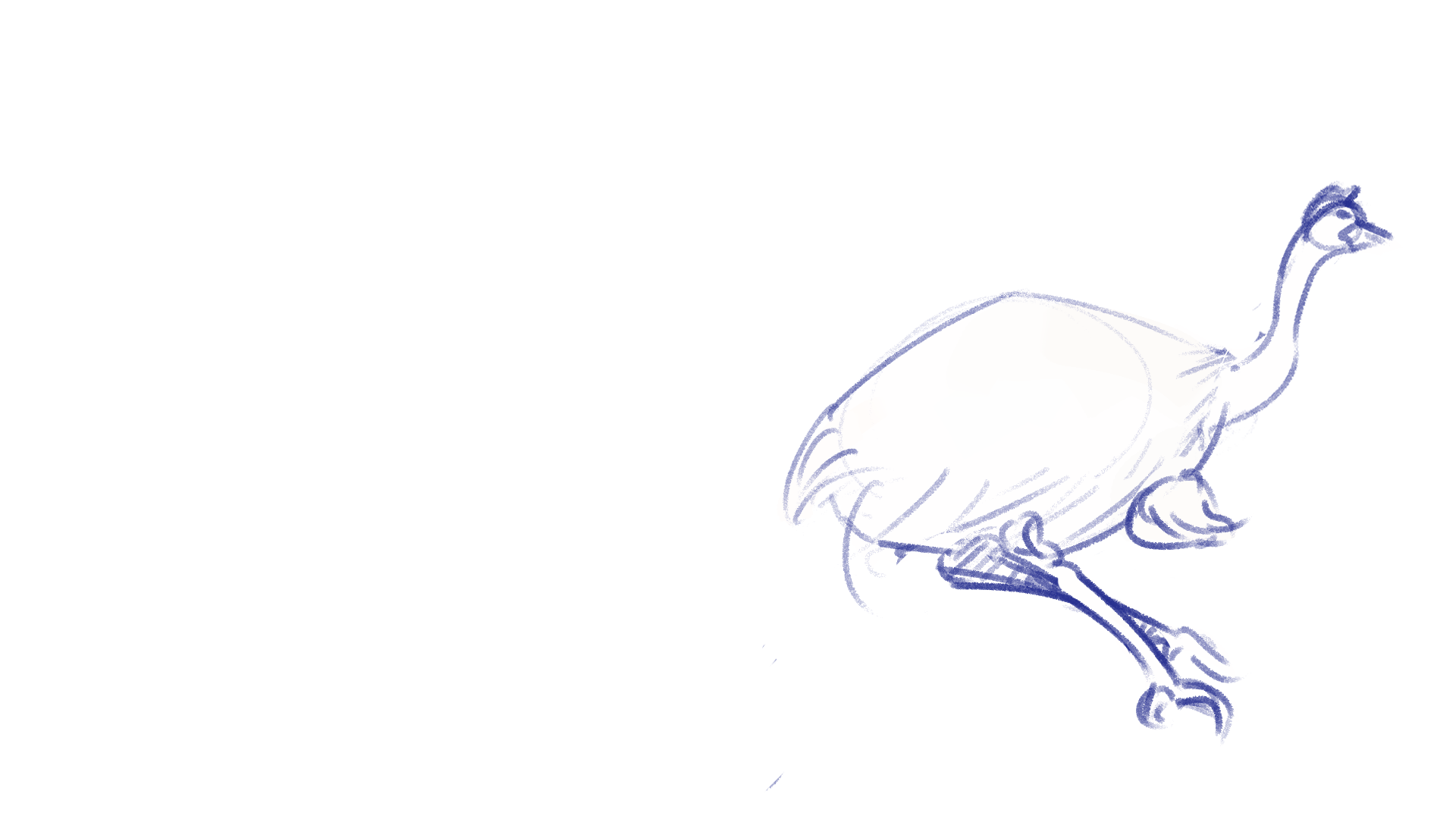 Emu_0006.png