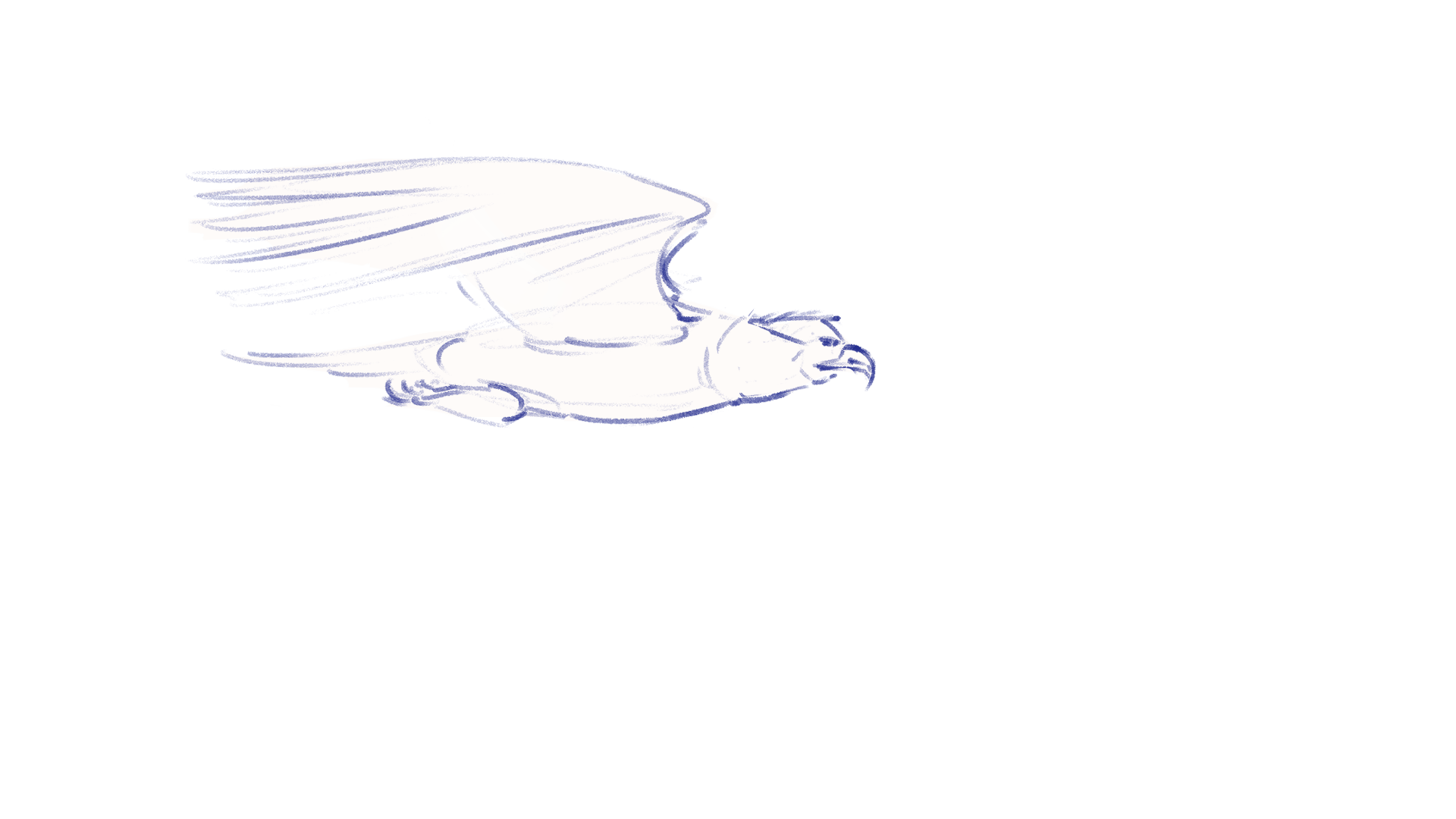 Eagle_0001 (1).png