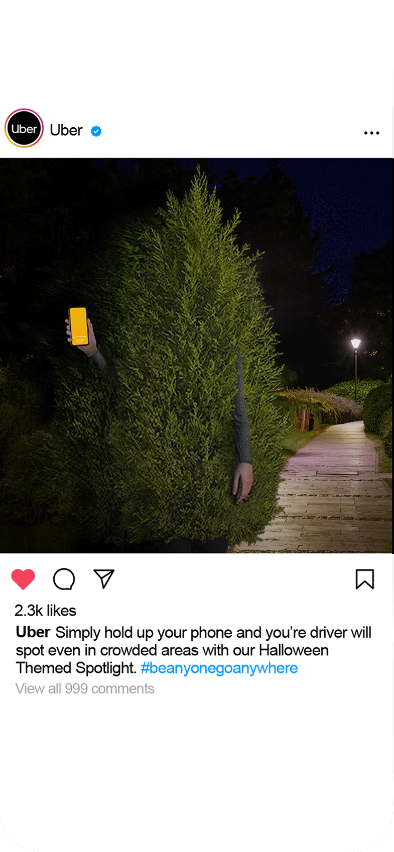 Rider-IG-Shrub-Post.gif