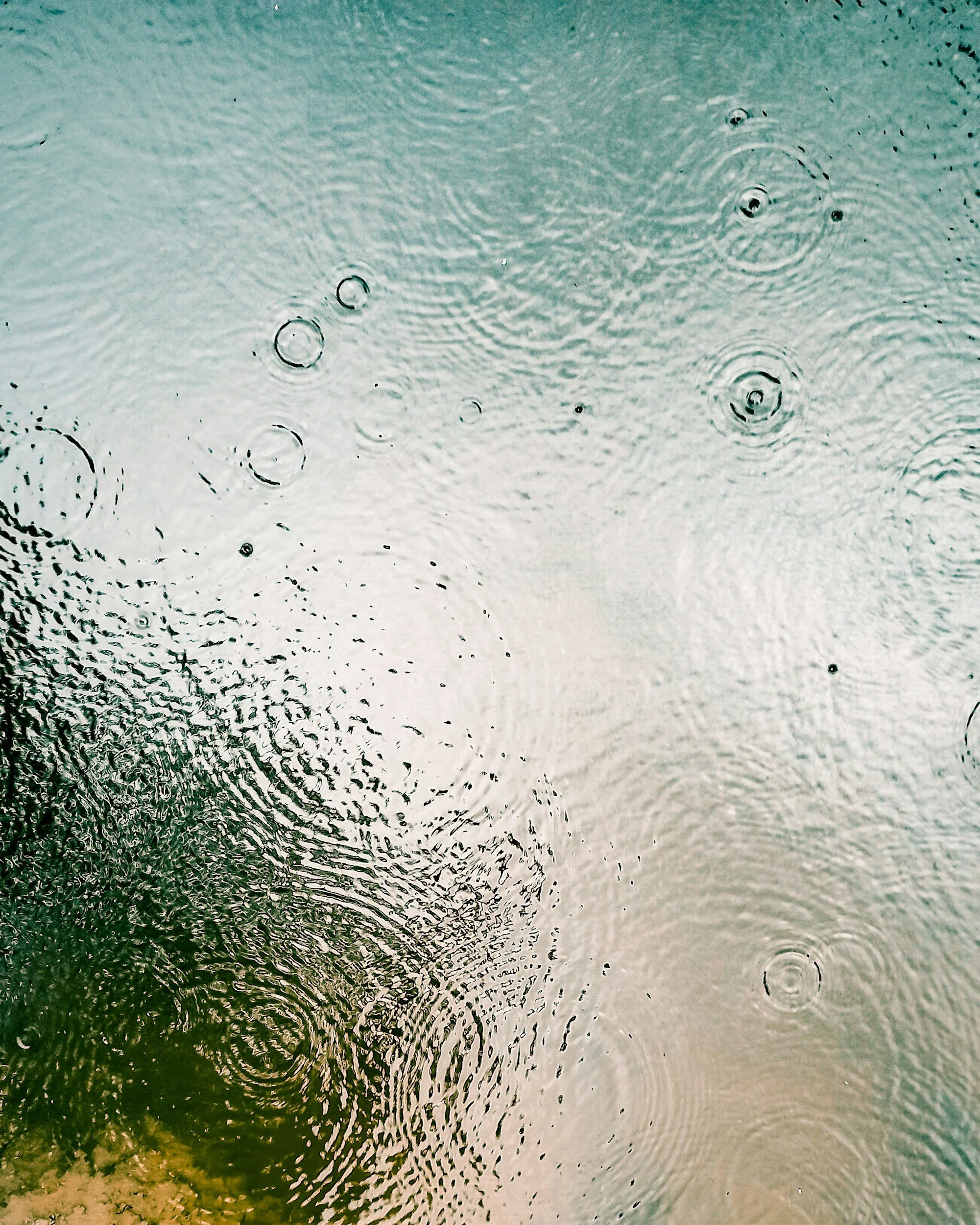 Close-up image of raindrops hitting a water surface, creating ripples and concentric circles.