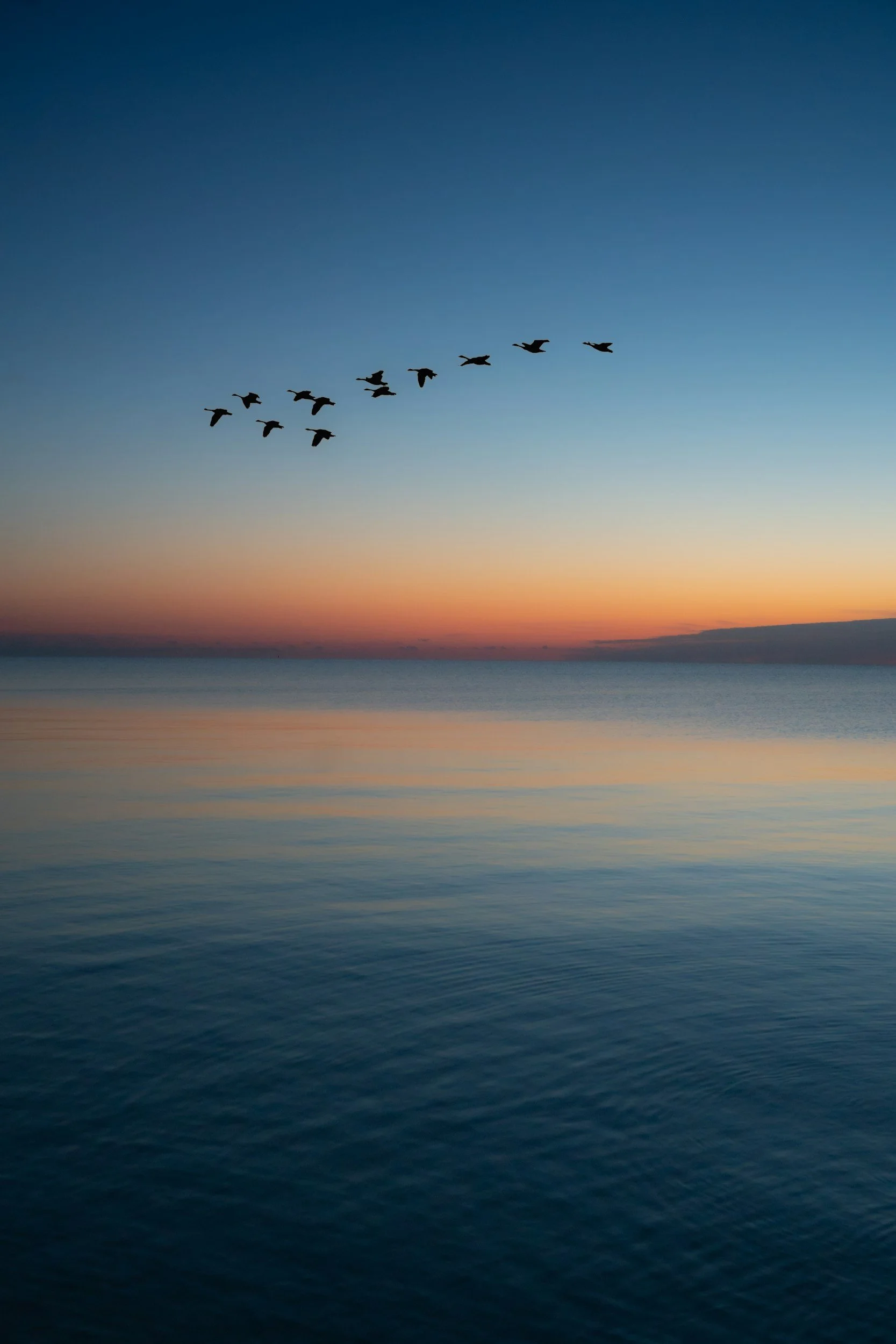 Silhouettes of eleven birds flying over a calm body of water during sunset or sunrise with a gradient sky of blue, orange, and purple colors.