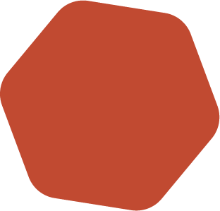 A red octagon-shaped stop sign.
