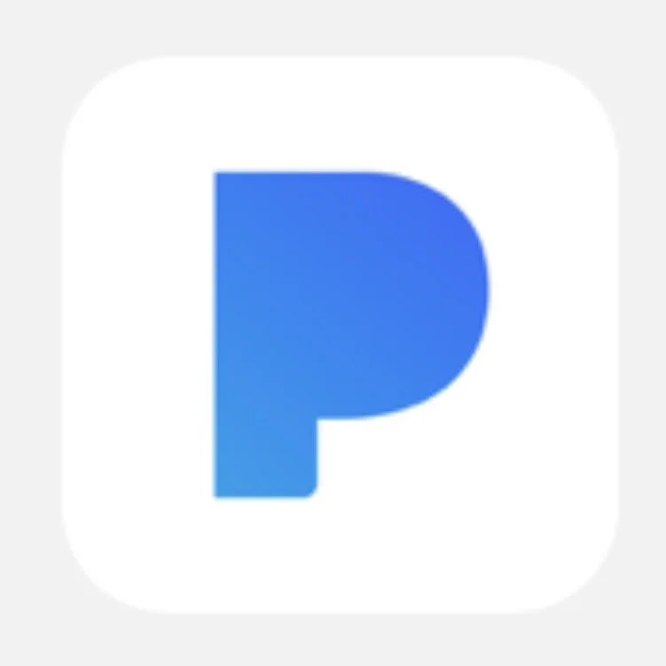 PayPal app icon with a blue 'P' on a white background.