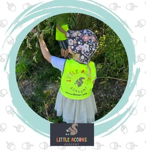 A young girl wearing a floral hat and a bright yellow safety vest, reaching into a bush or tree outdoors during the daytime. The vest has the words 'LITTLE ACORNS ACADEMY' and a squirrel logo on it.