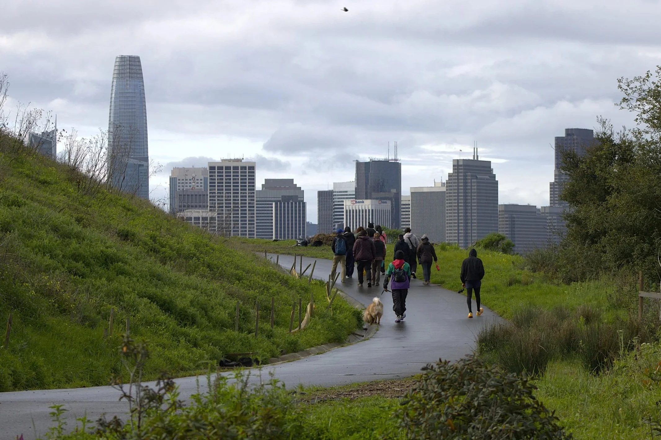 Treasure Island Nature Walk