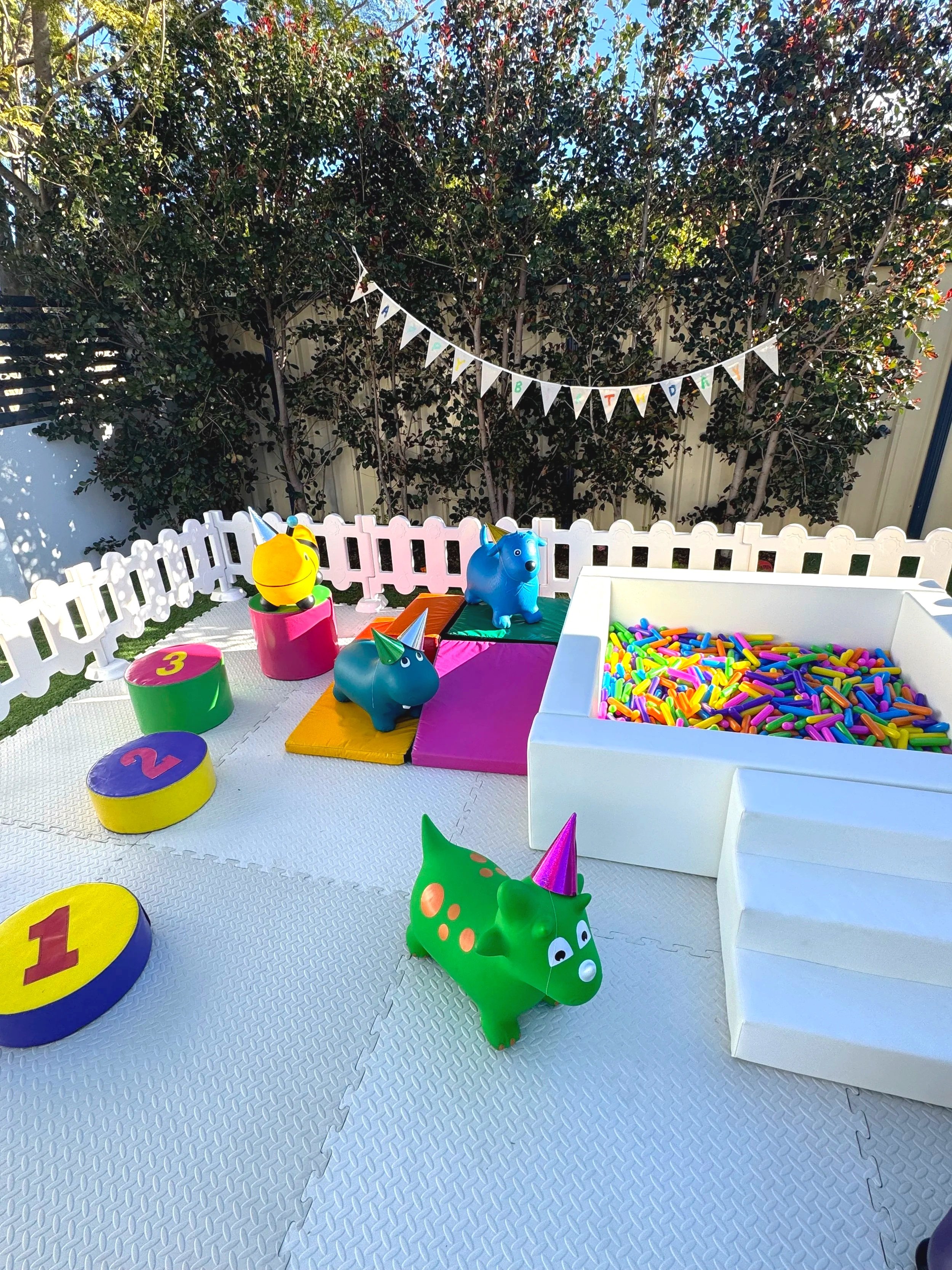 Party animal soft play ball pit hire Perth
