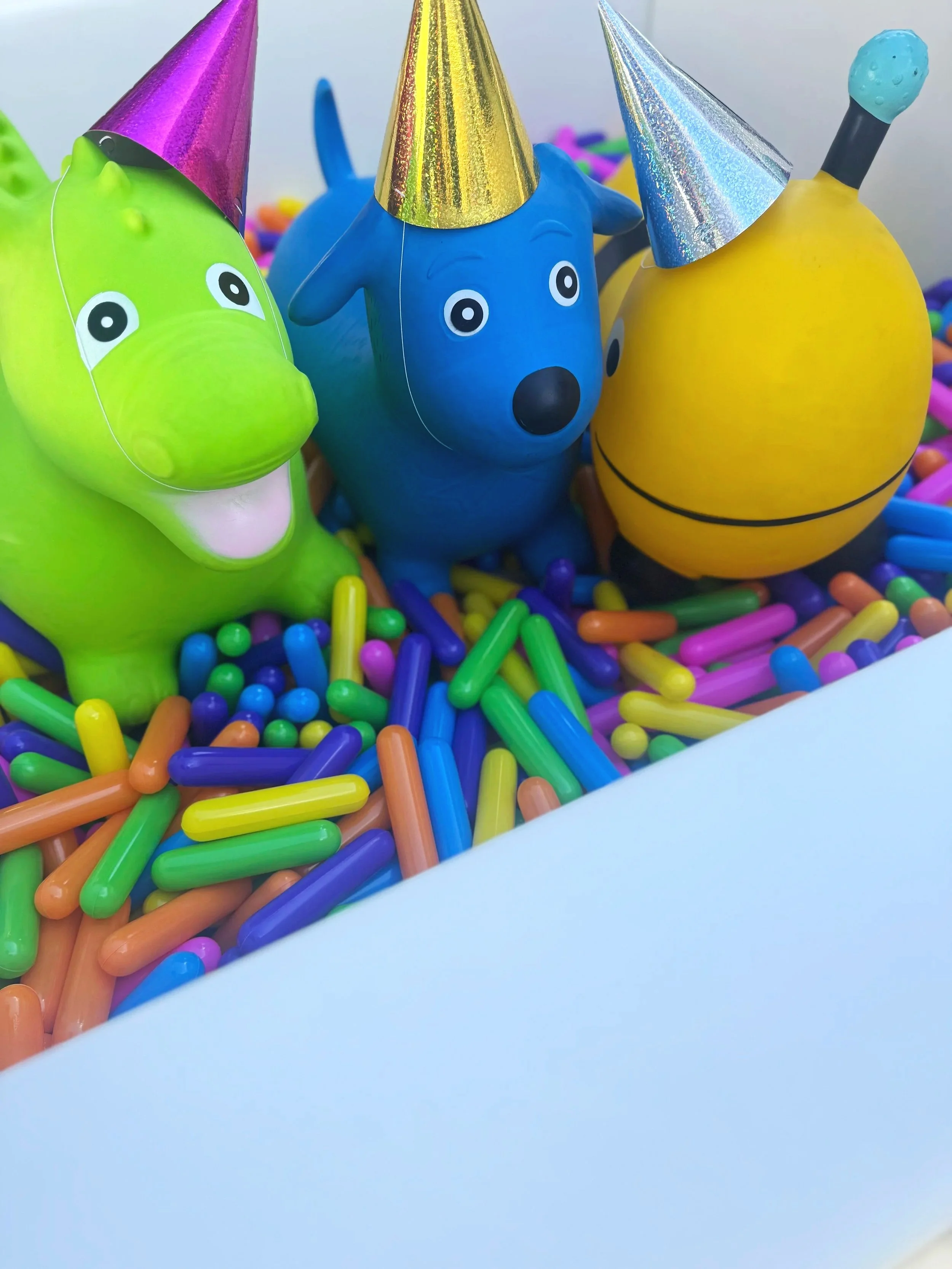 Party animal soft play ball pit hire Perth