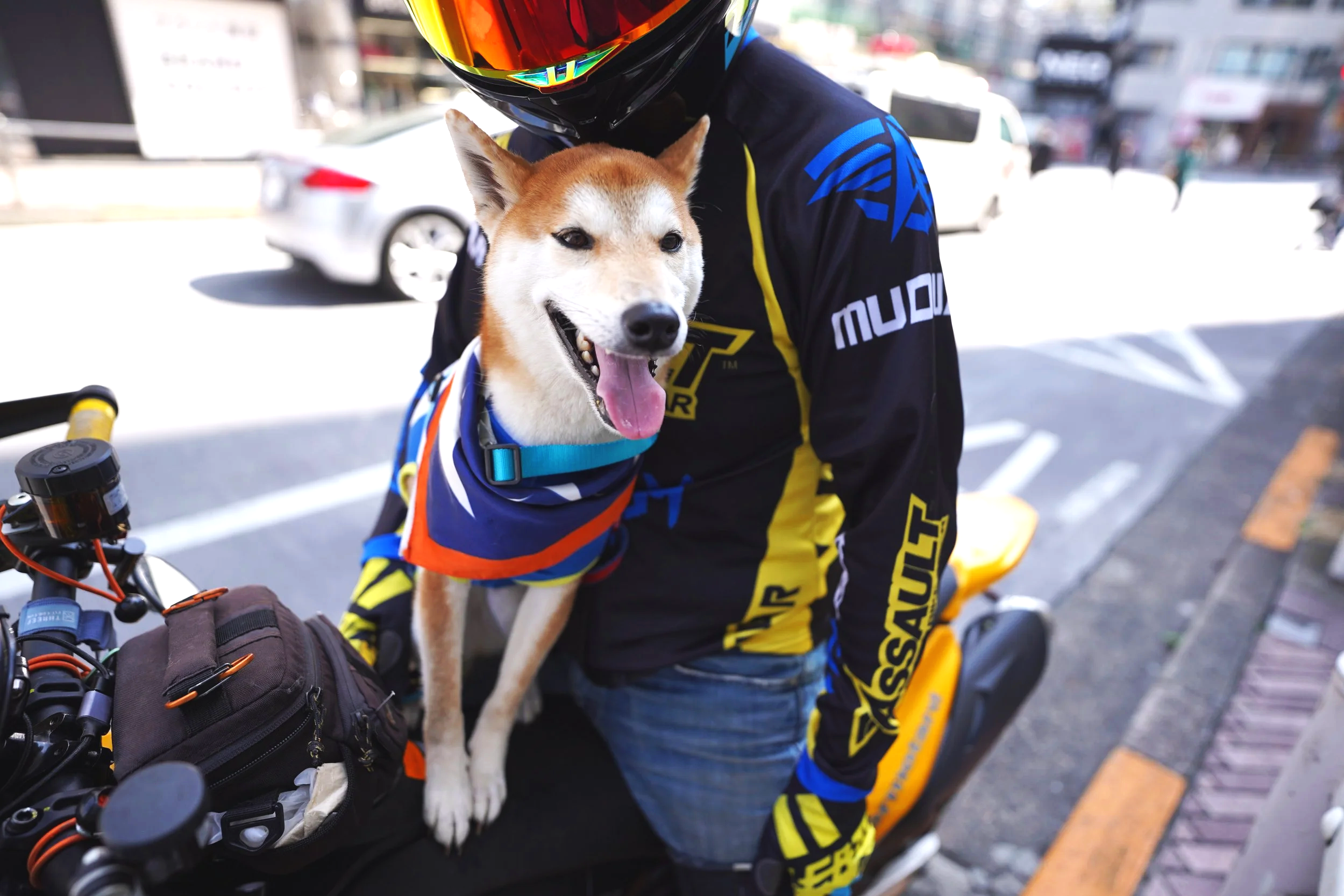 DSC02872.png