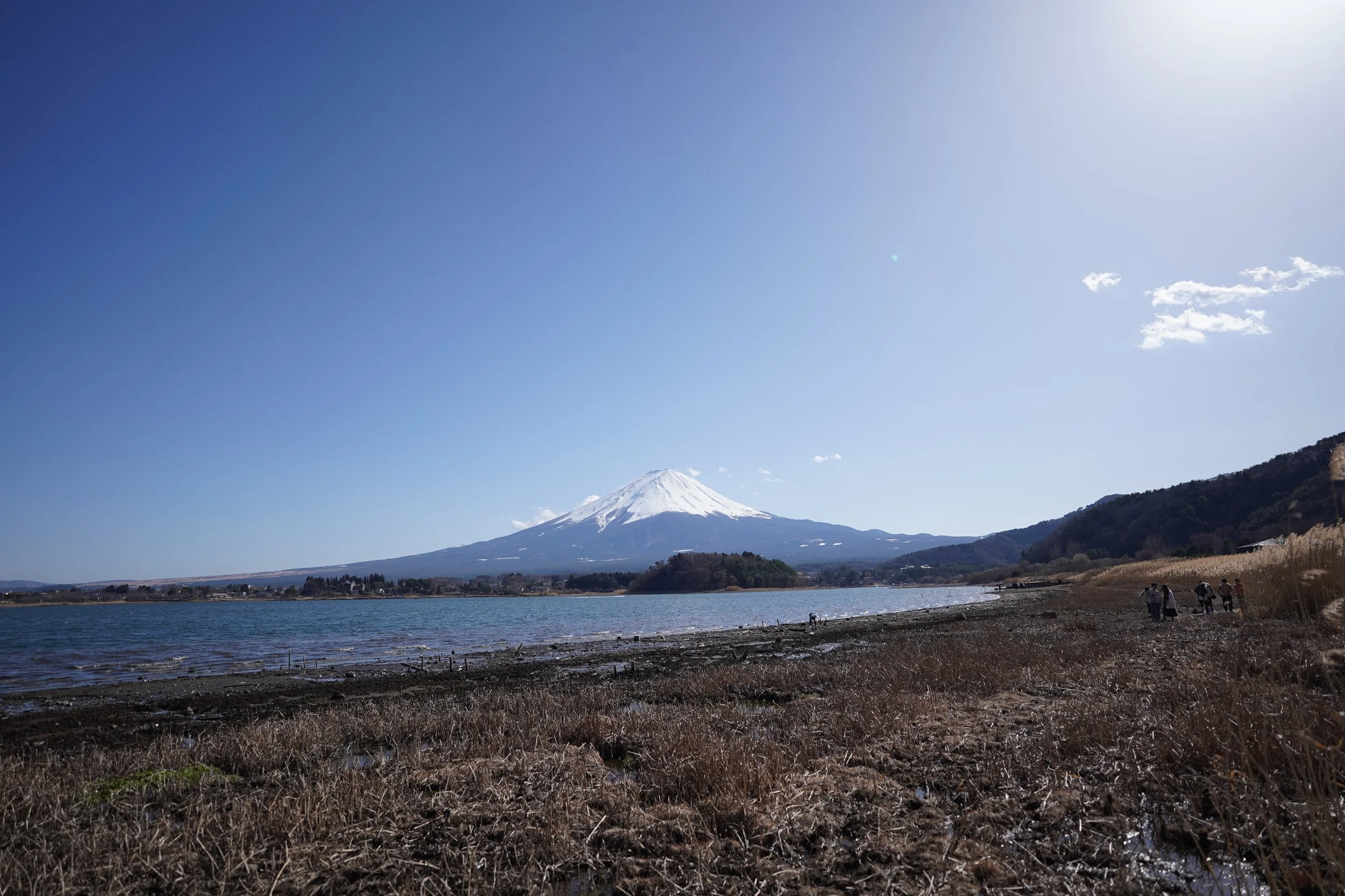 DSC01717.JPG