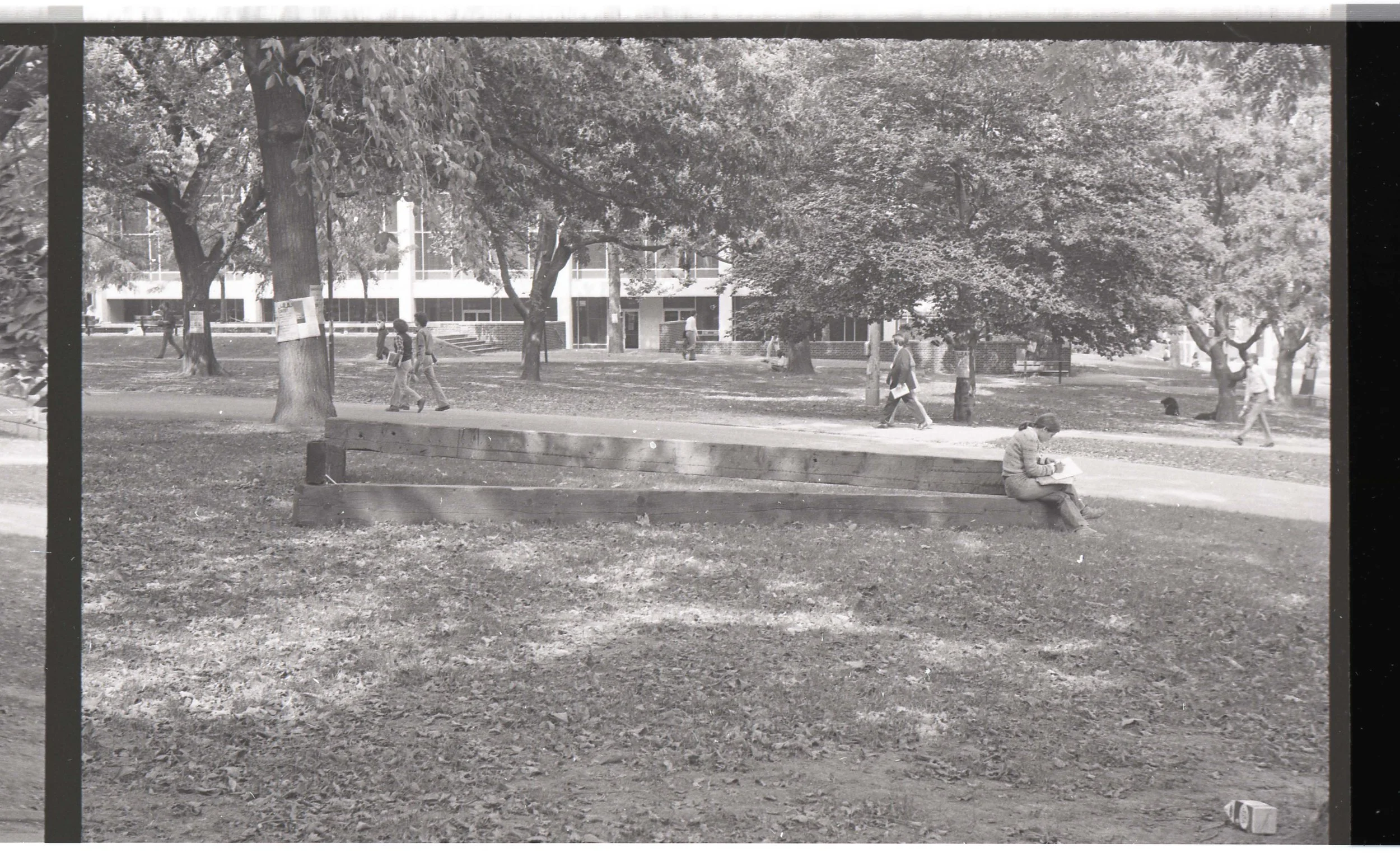A black and white photo of a park scene viewed through a window frame. In the foreground, a woman is sitting on a bench reading a book. In the background, people are walking along a paved path surrounded by trees, with some reading notices posted on 