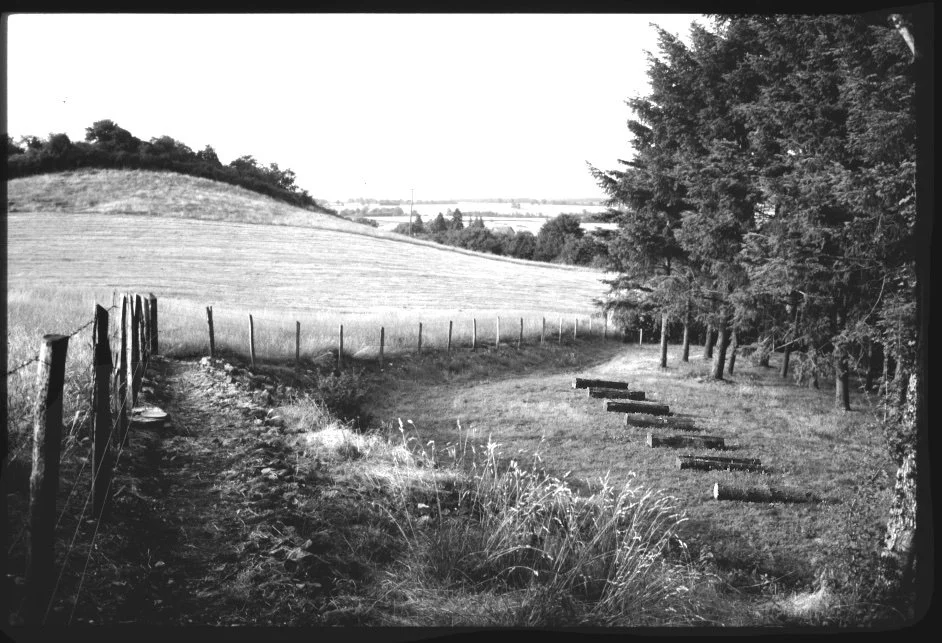 Evrard wood 95 slide.jpg