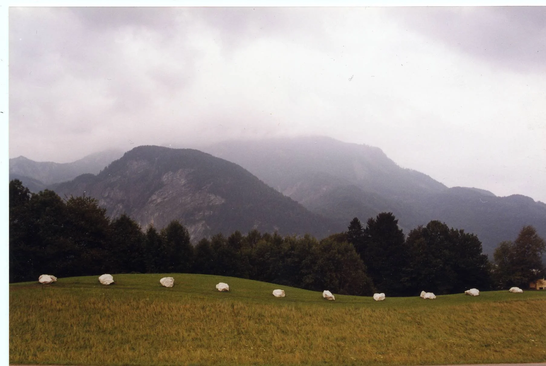 mondsee99:2.jpg