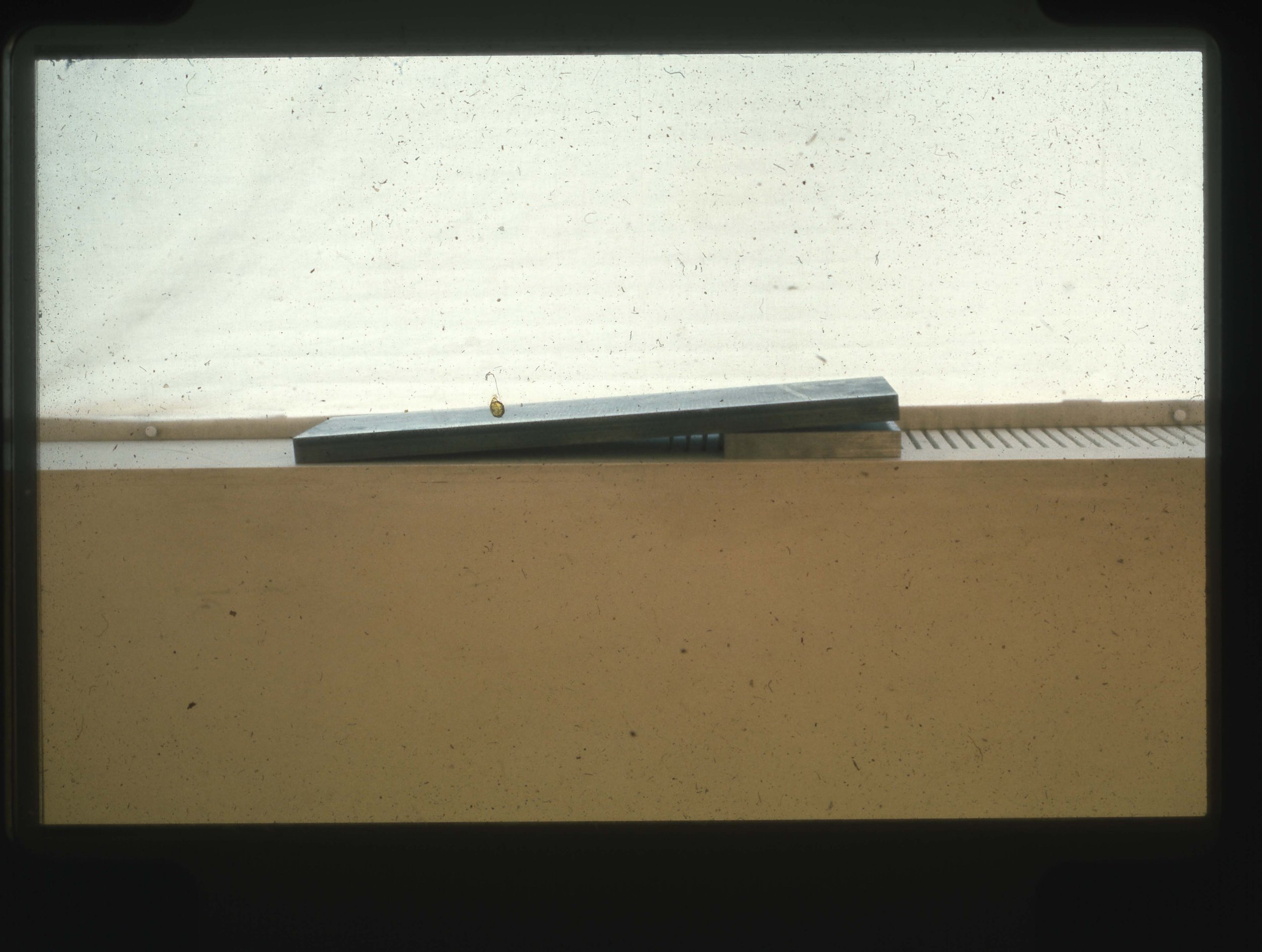 img20250415_17203801.jpg