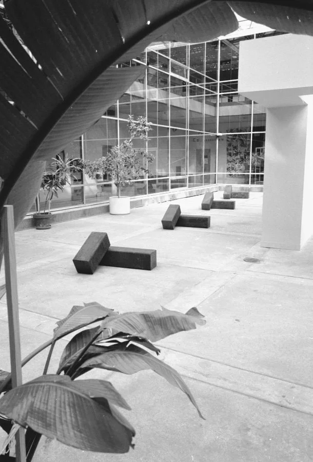 W Patterson.1 1990 #17.jpg