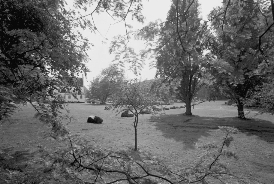Wanas.3 1989 #4.jpg