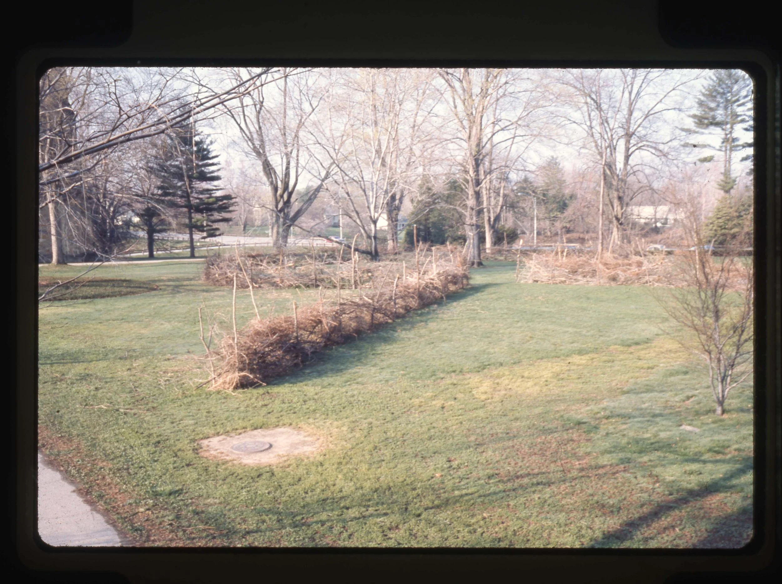 img20250329_17165449.jpg