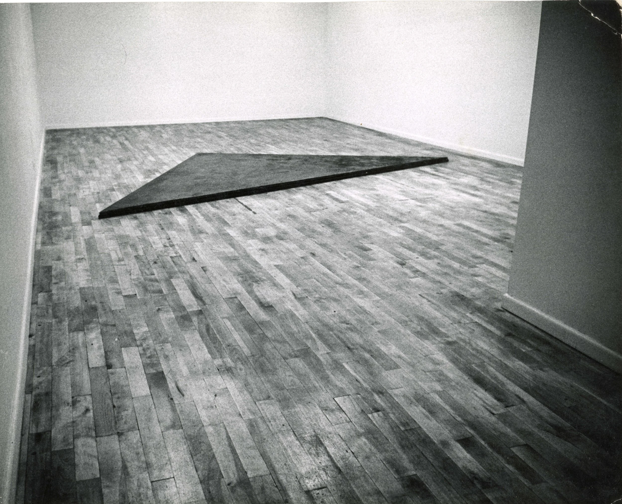 Deadfall, 8 x 12 x 1 1_2.jpg