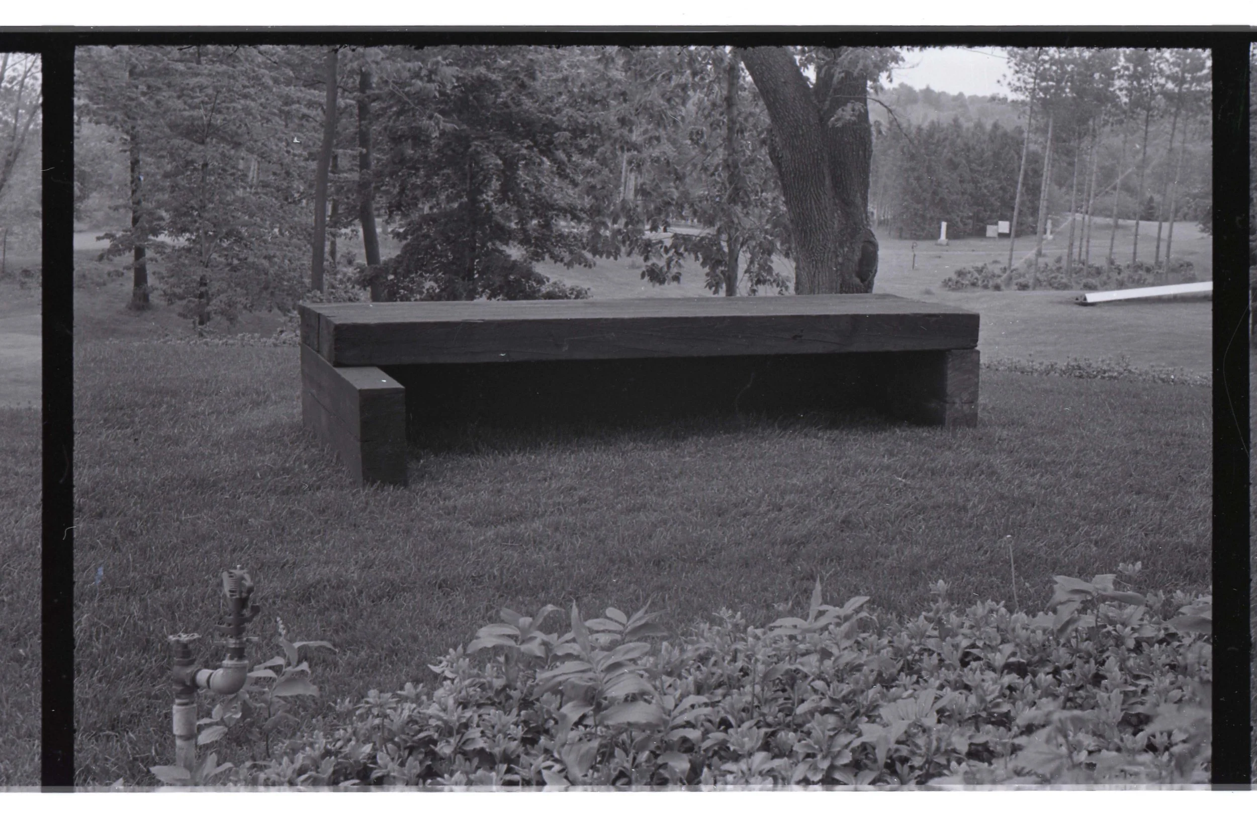 Black and white photo of a park view through a window, with a wooden bench in the foreground, large trees, grass, and distant structures.