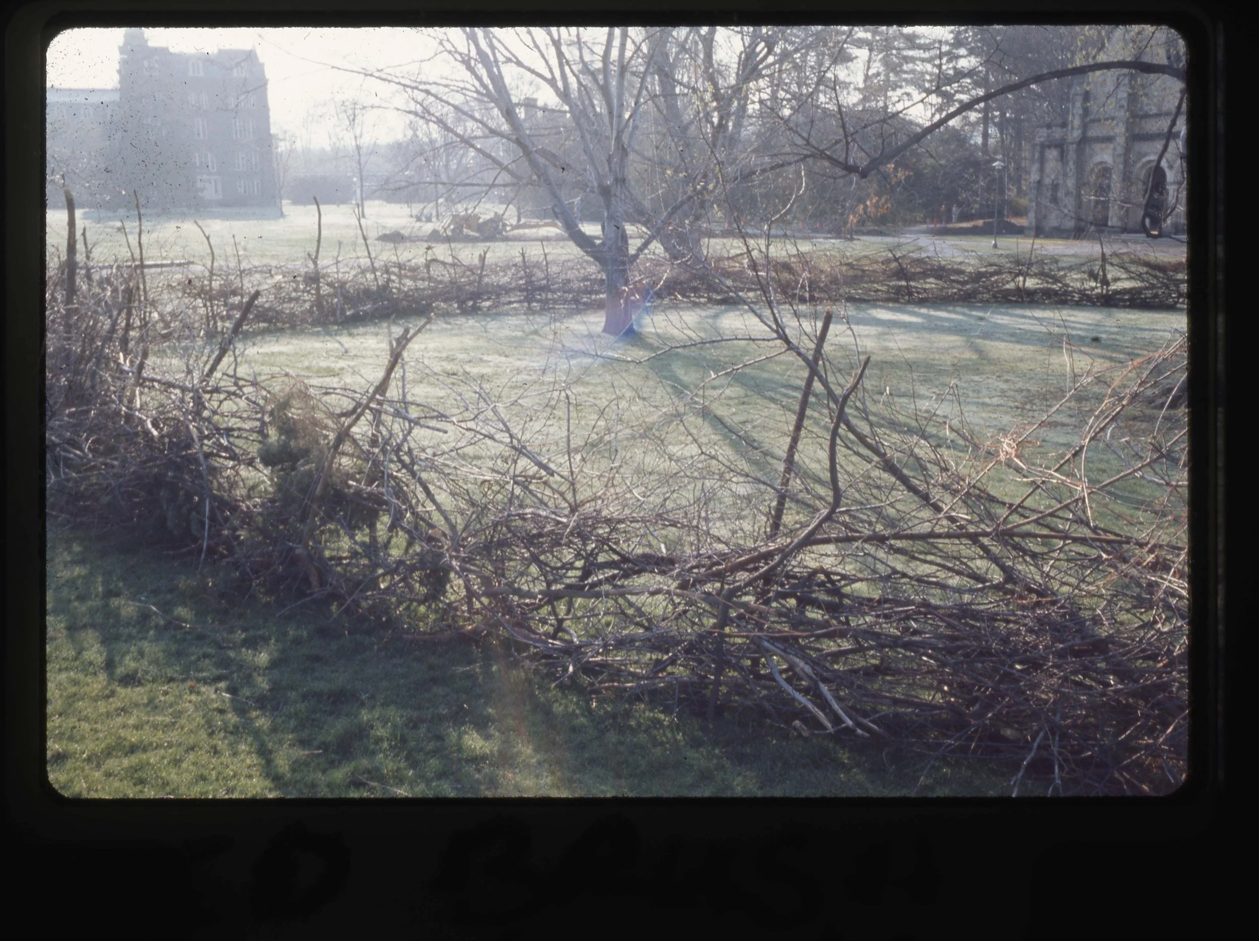 img20250329_17213607.jpg