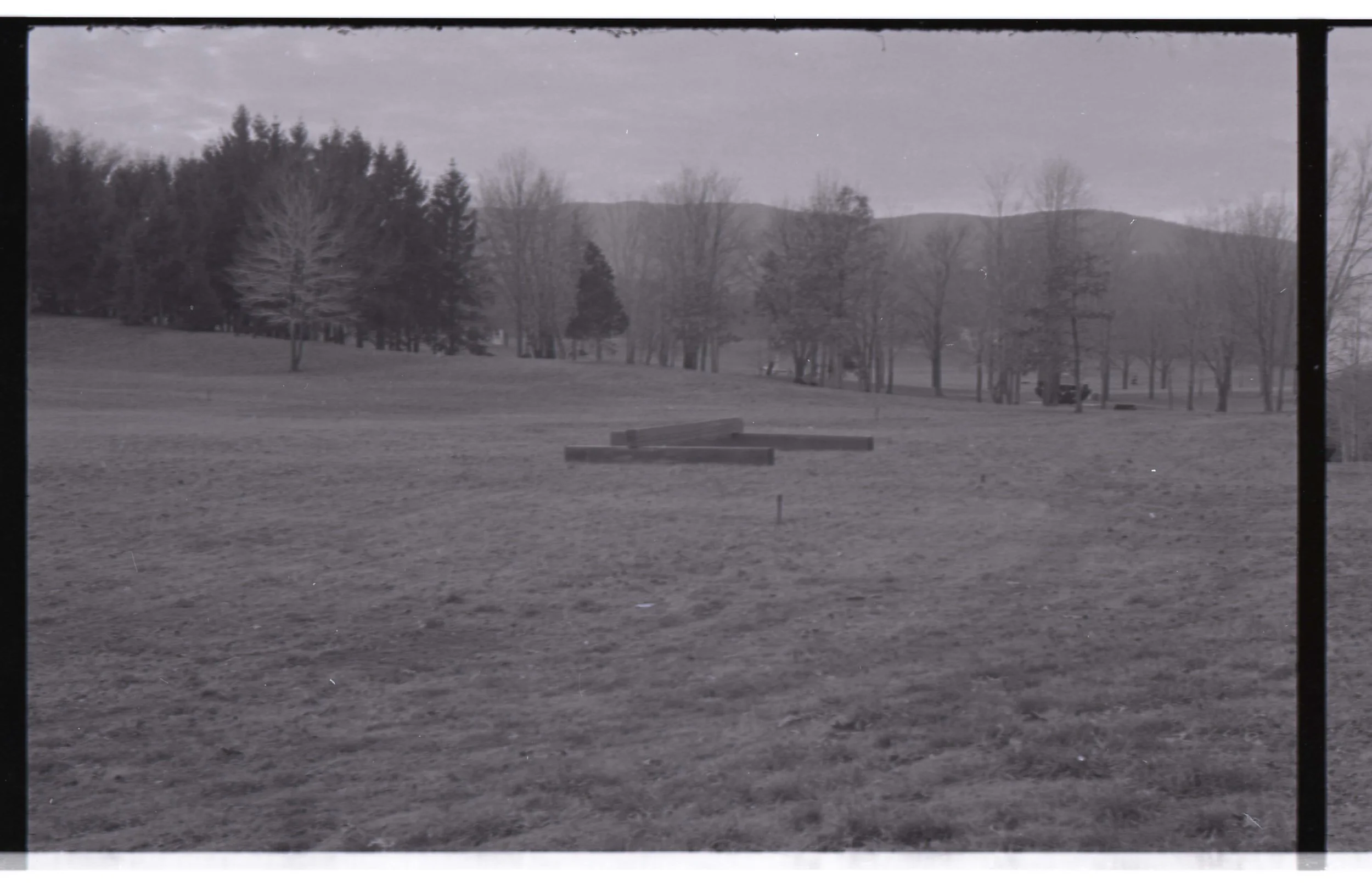 Black and white photograph of a park with bare trees, a bench, and a distant mountain range, viewed through a window or frame.