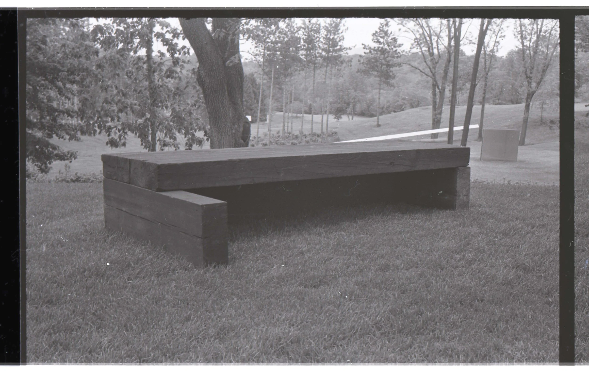 Black and white photograph of a park scene with a bench in the foreground, trees in the background, and a pathway winding through the park.