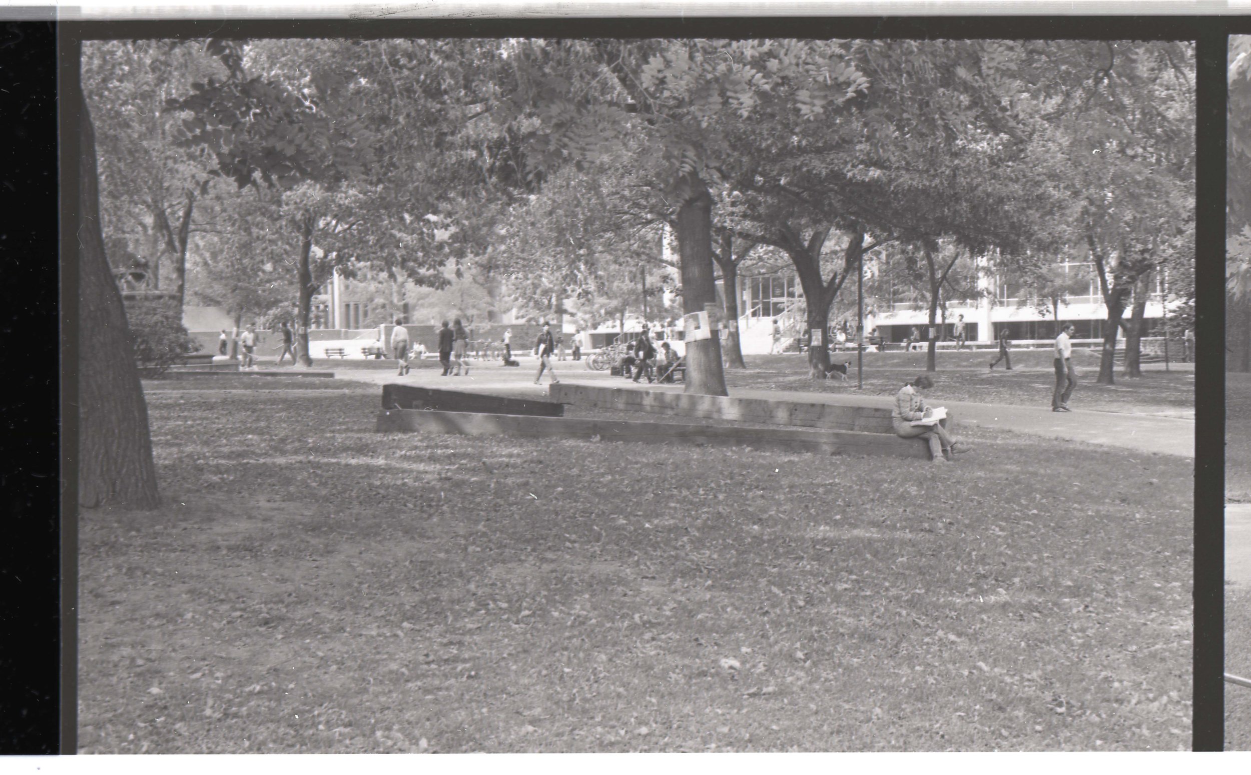 Black-and-white photograph of a park with large trees and people walking, sitting on benches, and engaging in outdoor activities.