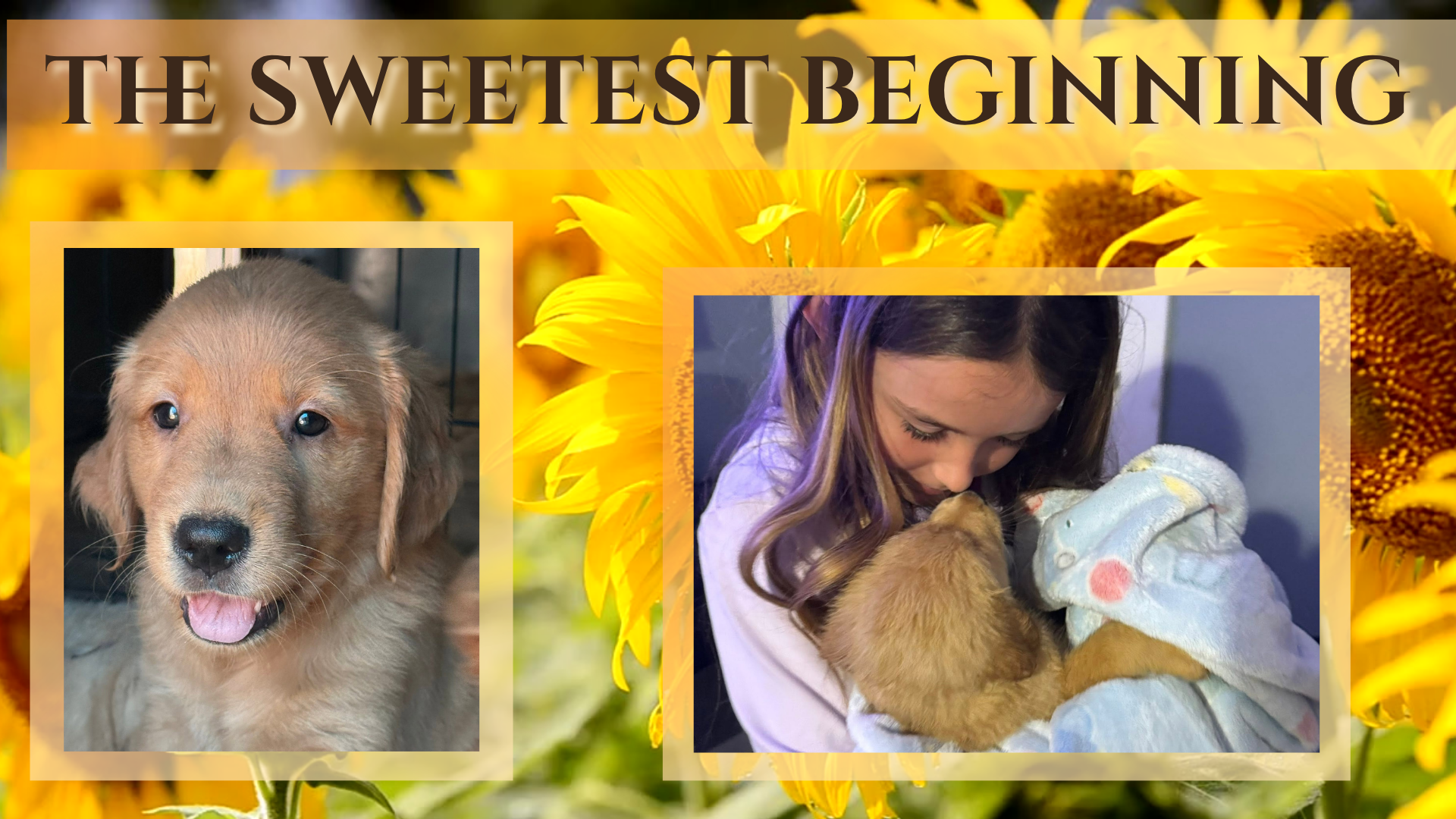 Where Love Grows(1920 x 1080 px) (5).png