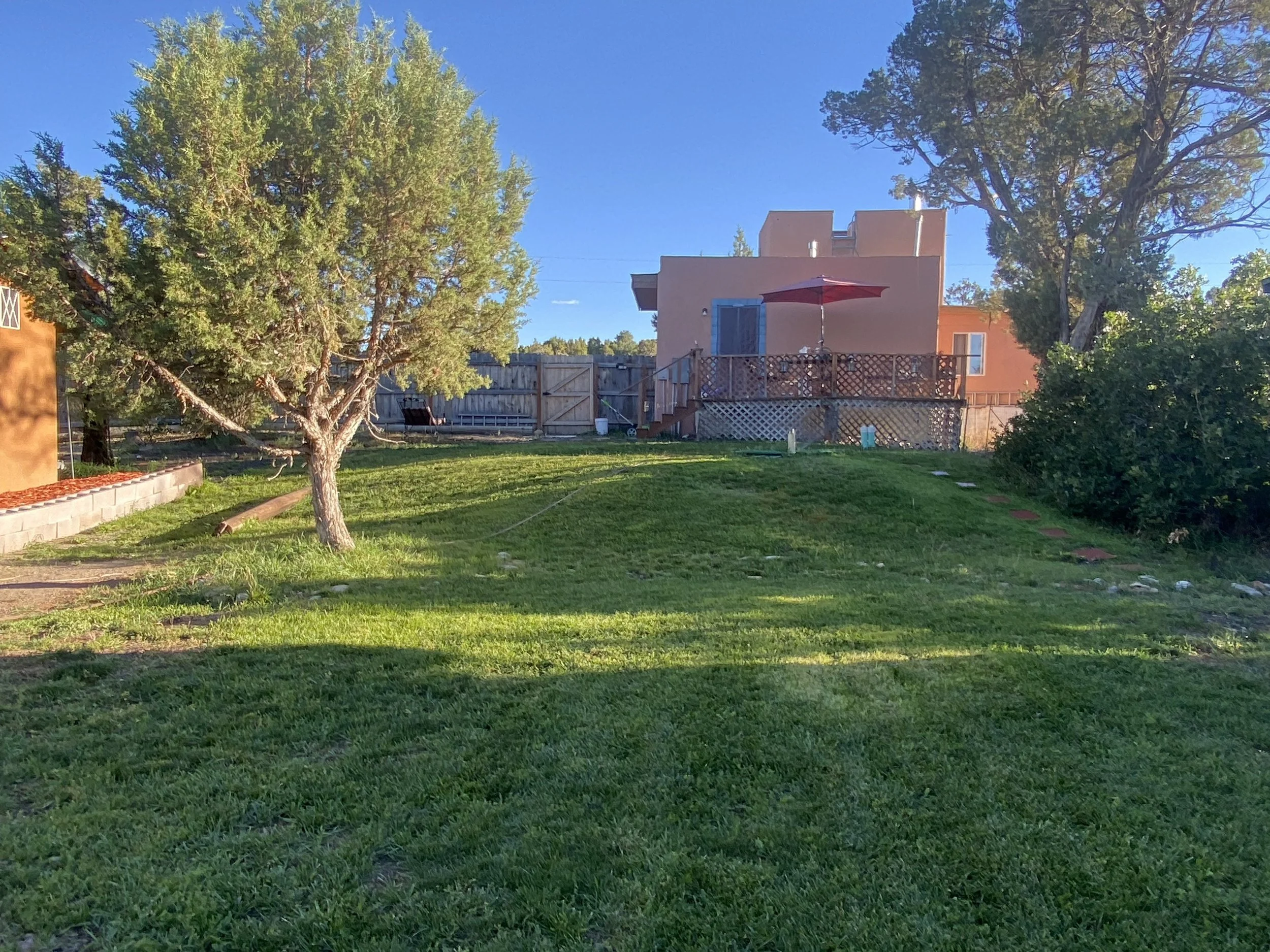 A backyard with green grass, a large tree, a wooden fence, and a two-story house with a balcony and an umbrella.