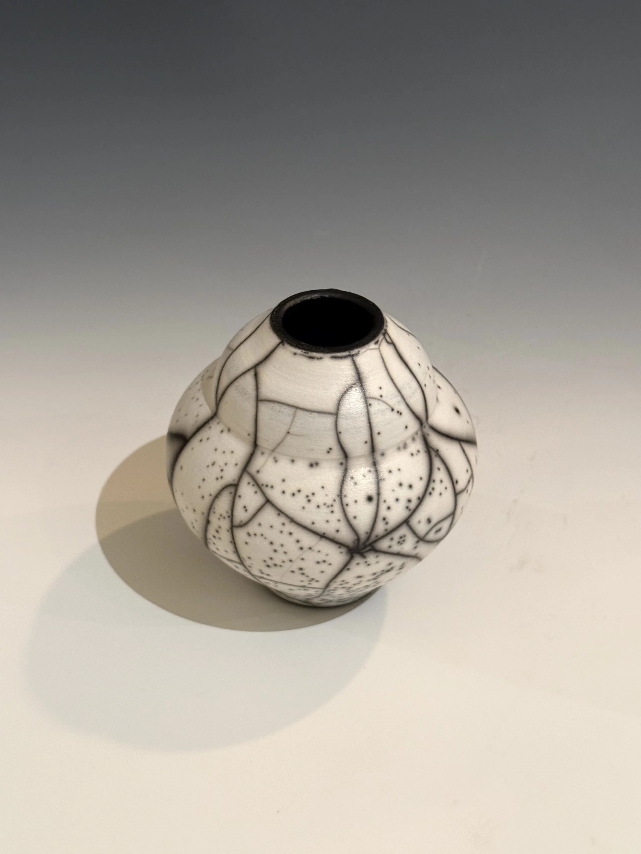 IMG_1384.jpg