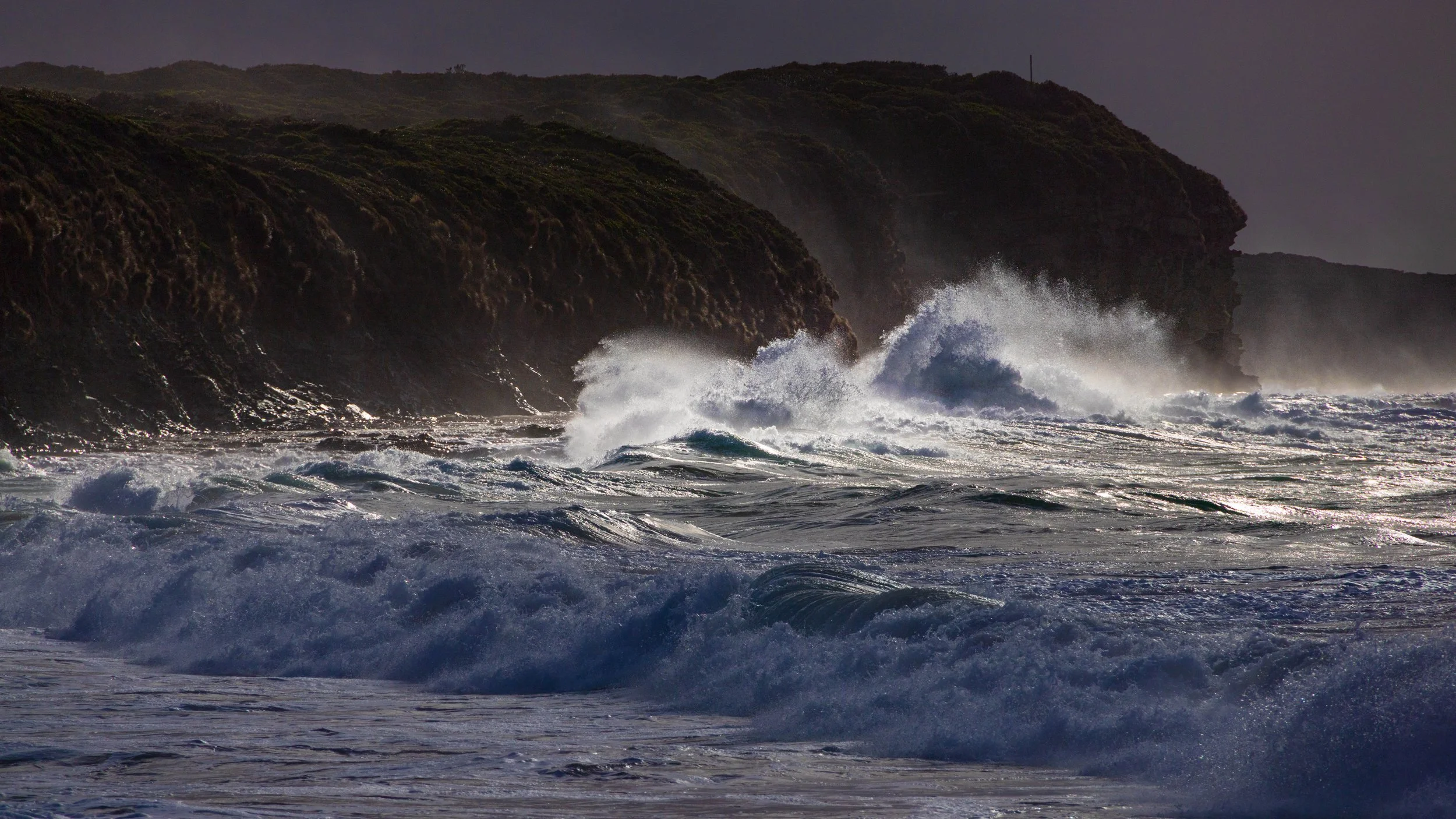 Sunlit Spray