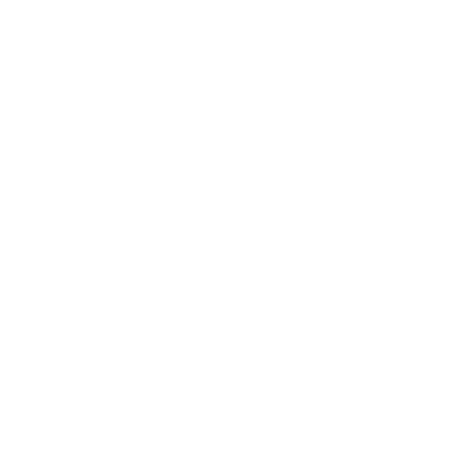 The Handpan Project