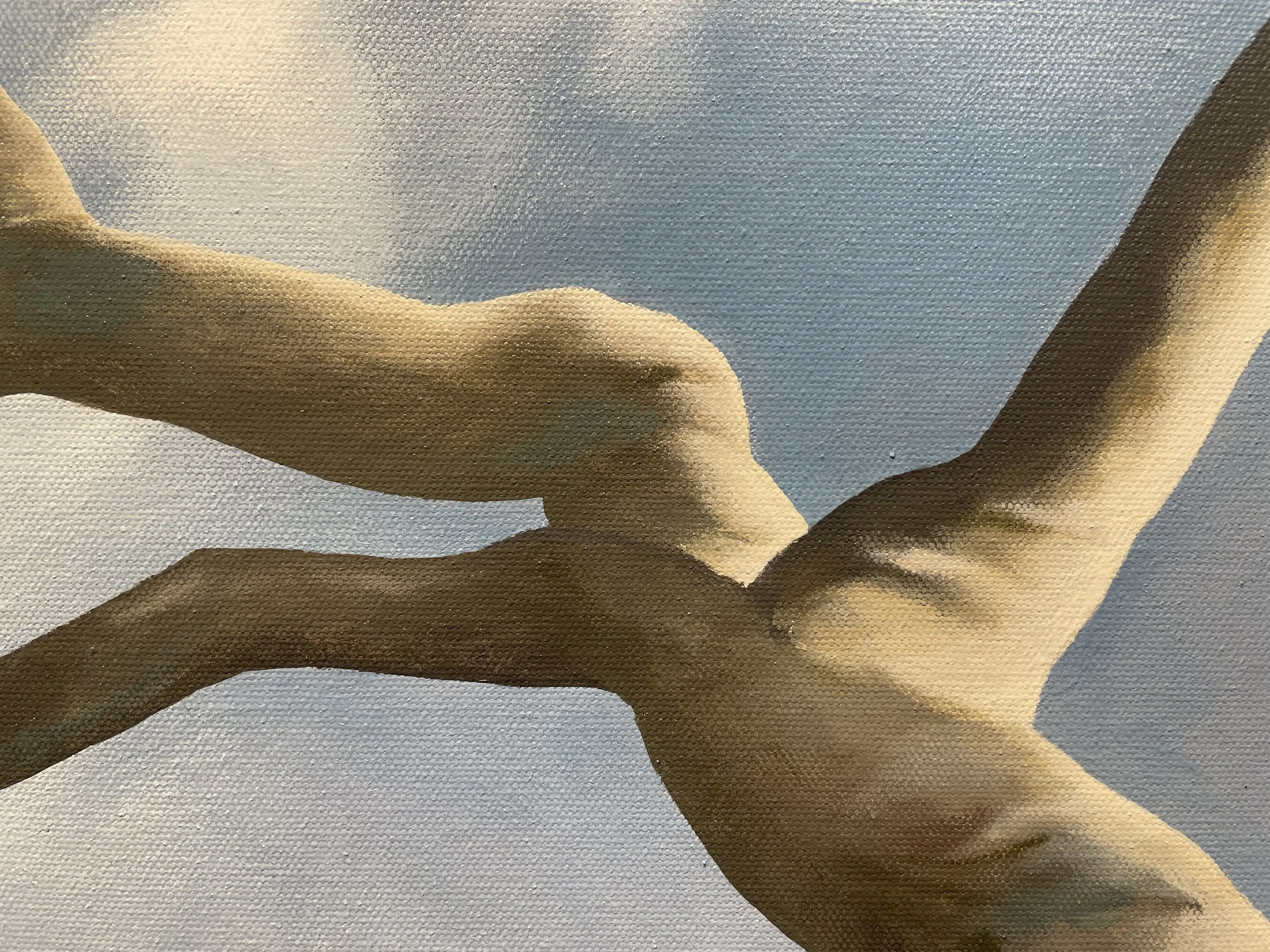 GeoffColeman_AngophoraCostata_2.jpg