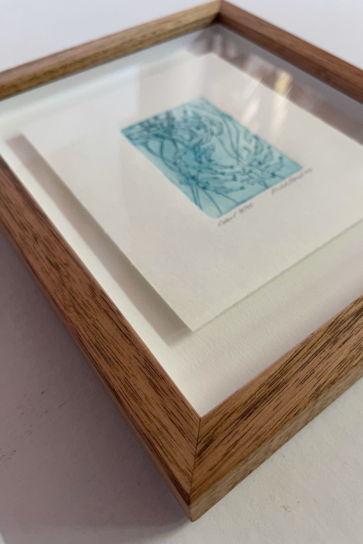 Small botanical etching in teal and white, float mounted on white paper with deckled edges, presented inside a deep natural oak box frame with visible depth between the print and the glazing