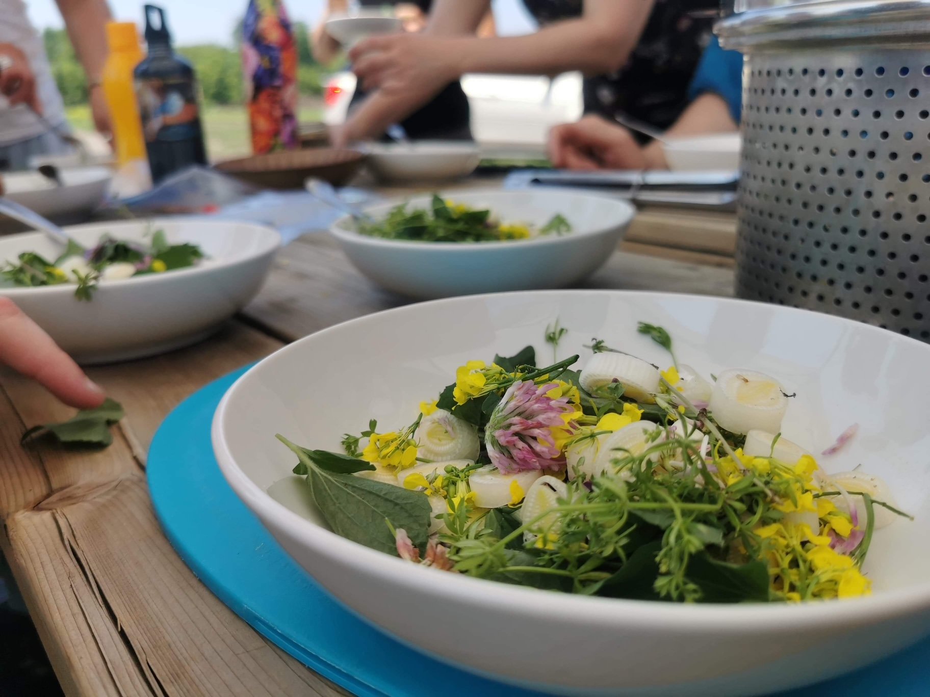 asiette delicieuse avec les plantes sauvages