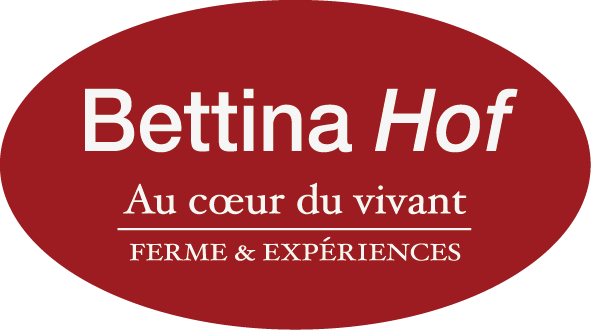 Bettina Hof