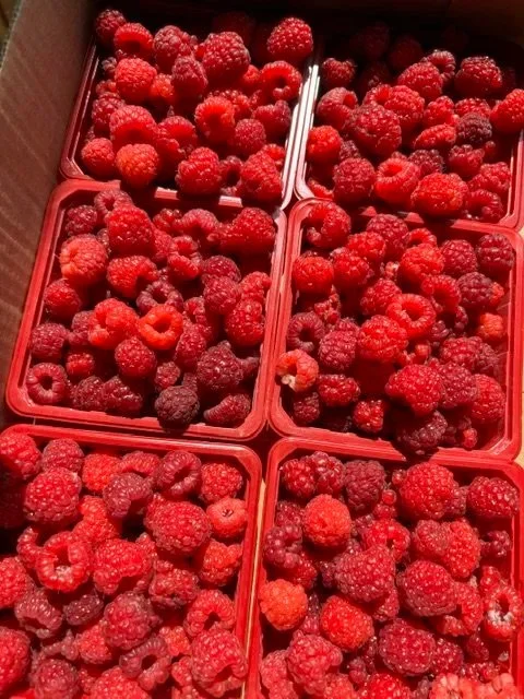 Berries