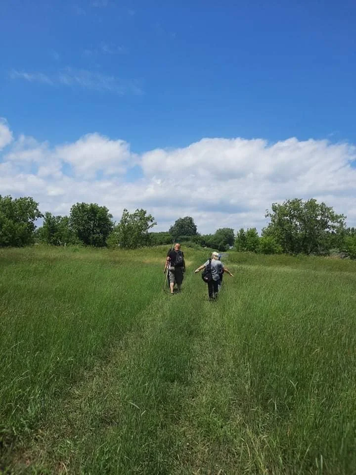 Bettinahof_Andrea_Galarneau_stroll.jpeg