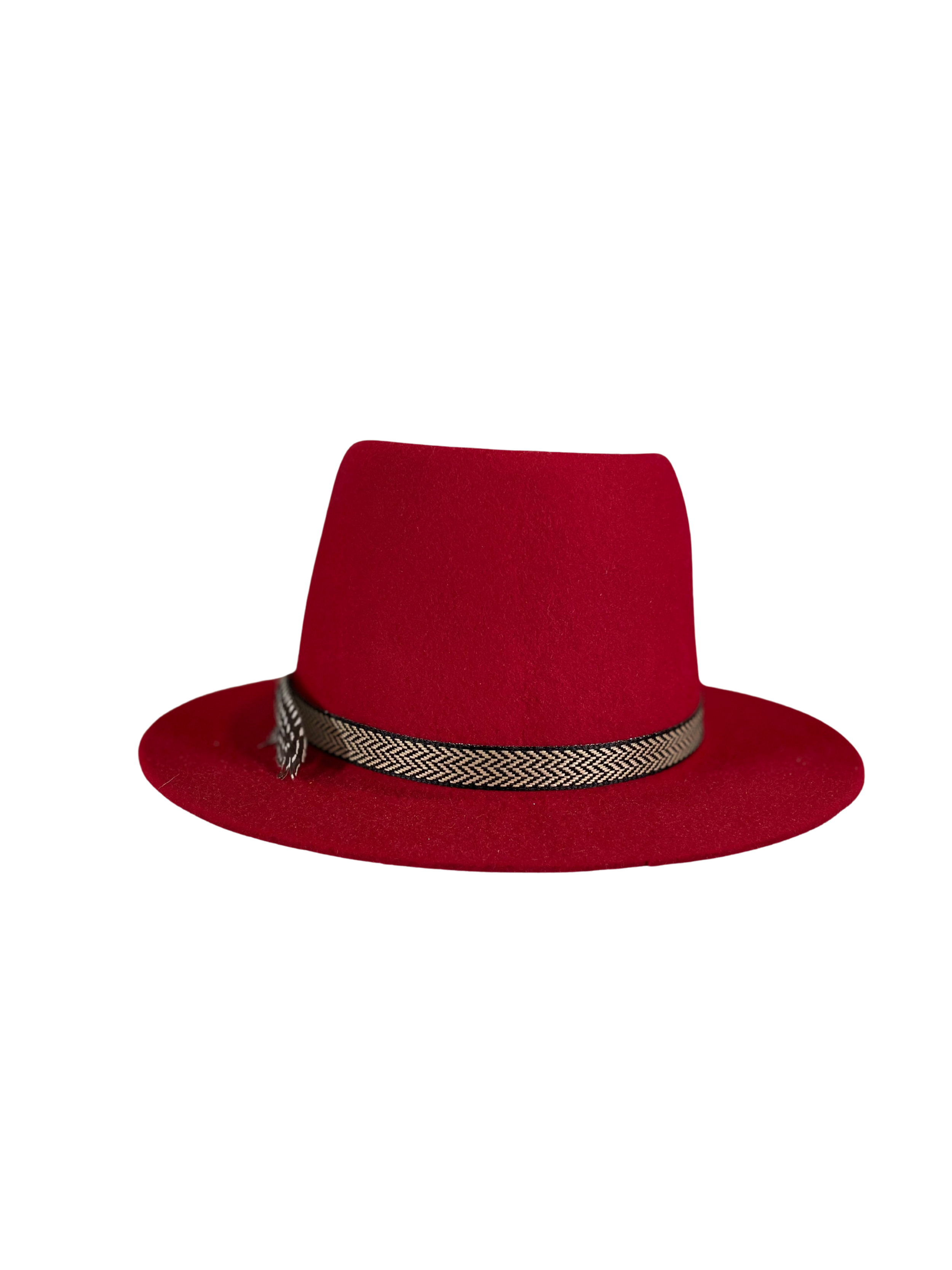 Folded fedora rear view