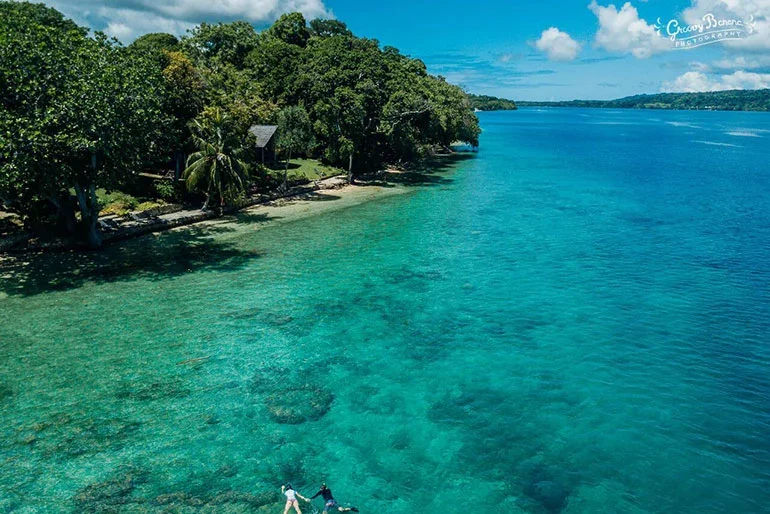A tropical coastline with clear turquoise water, lush green trees, and a small beach area.