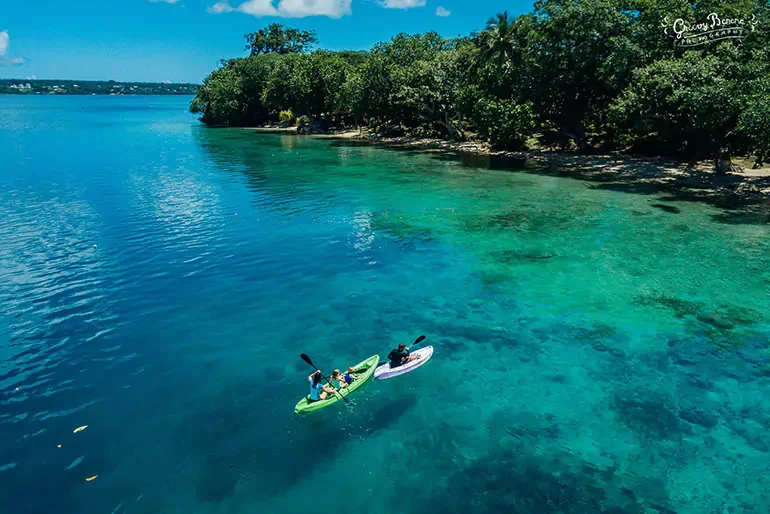 Two people kayaking on clear blue water near a shoreline with trees and greenery.