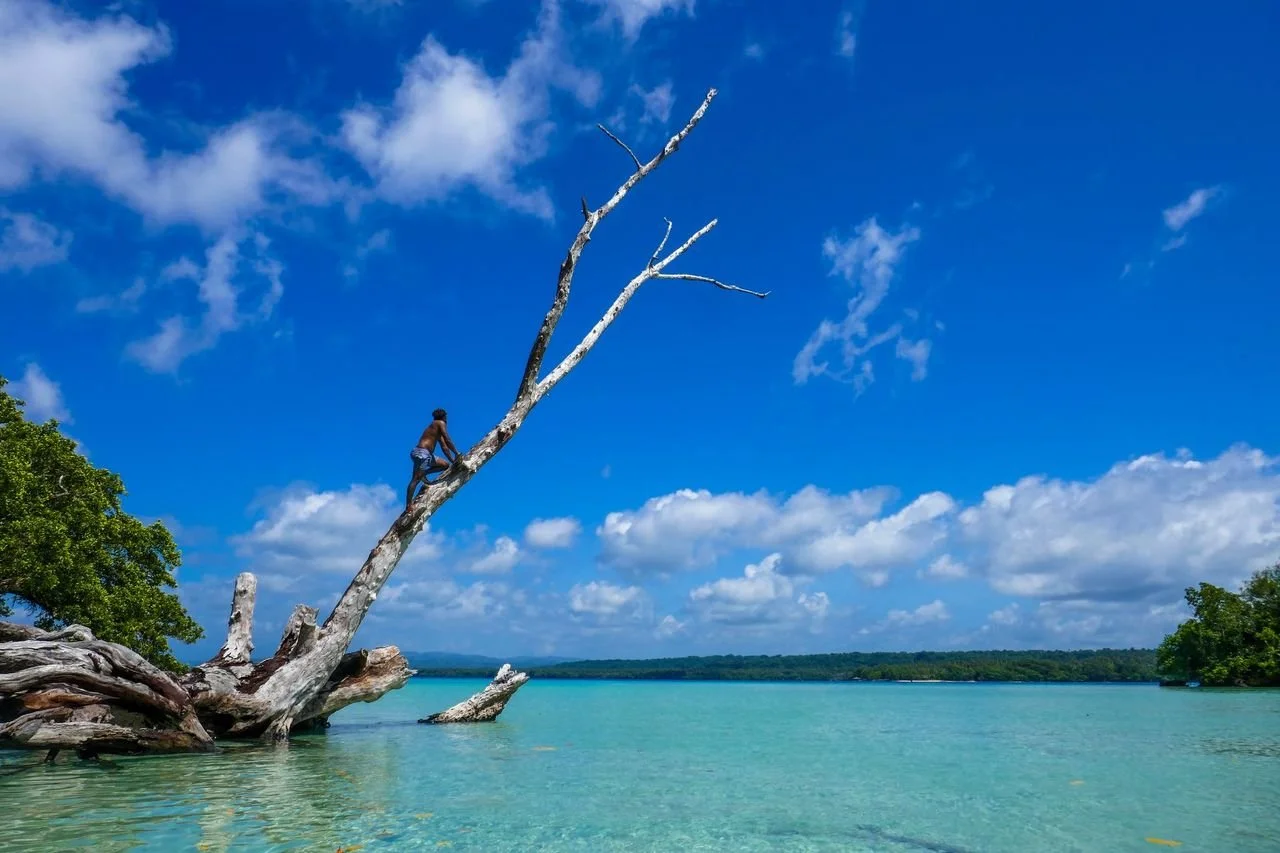 A person climbing a leafless tree that slopes over a turquoise lake, with a clear blue sky and scattered clouds in the background.