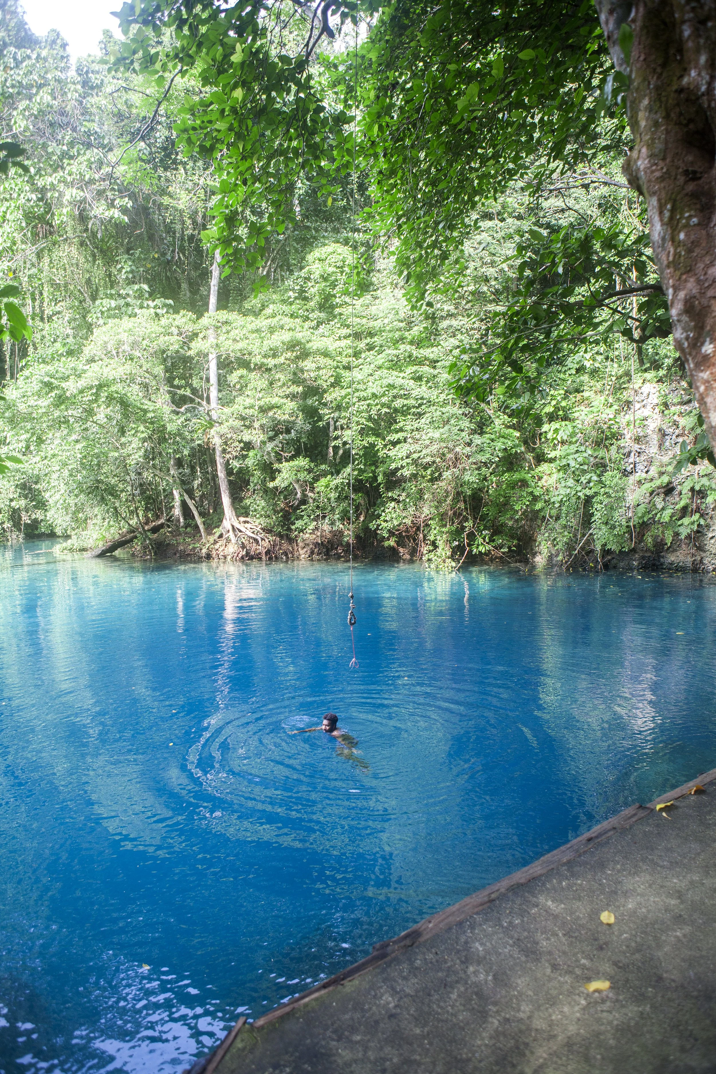 A person swimming in turquoise water near a lush, green, tropical forest shoreline, with dense trees and foliage overhanging the water.
