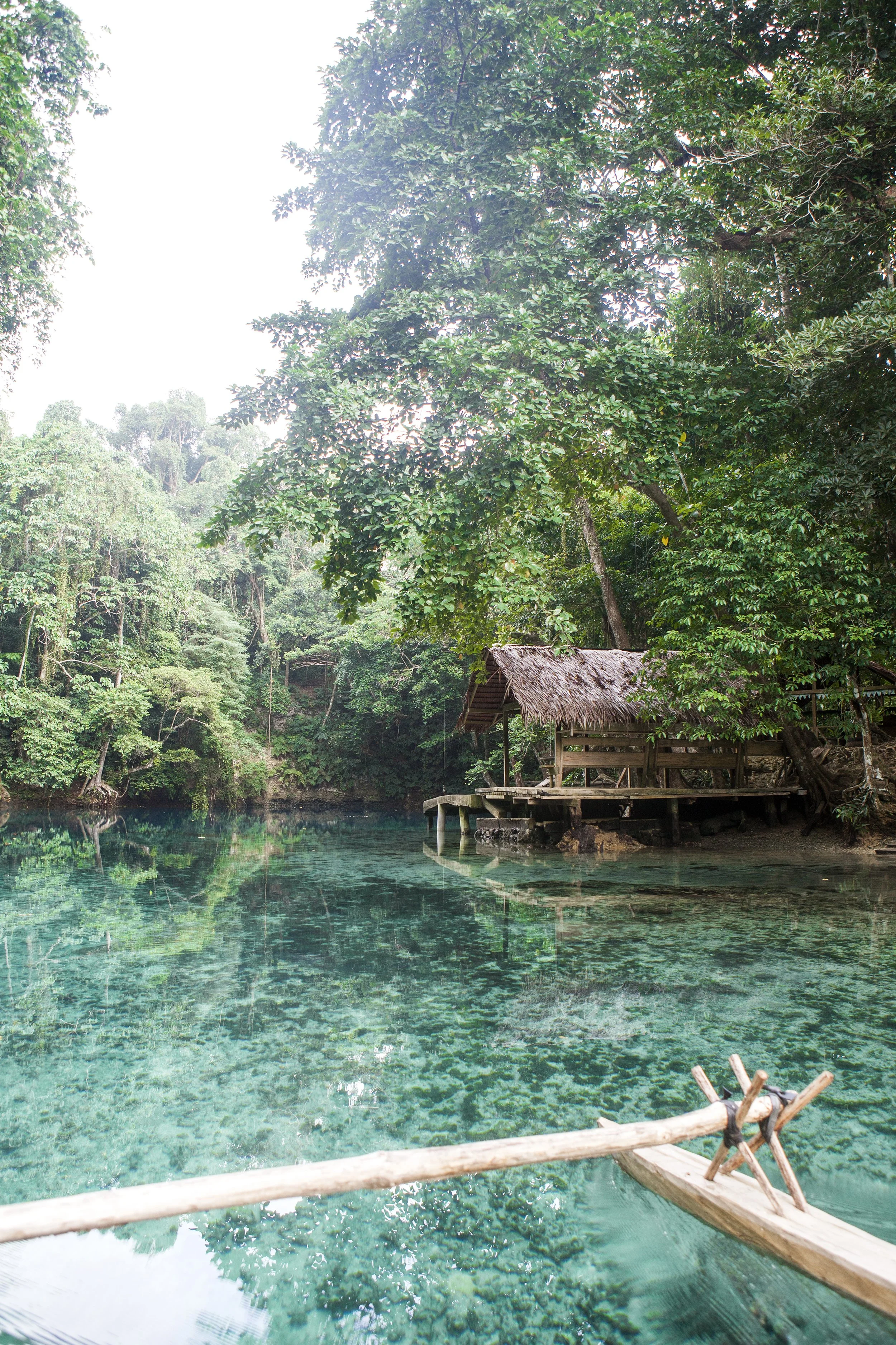 A wooden hut on stilts over clear turquoise water, surrounded by dense green forest.