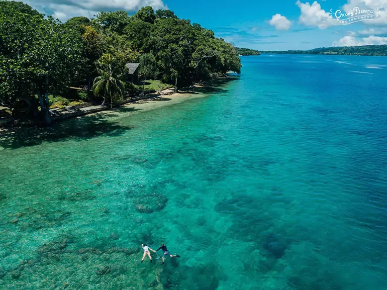 Two people holding hands and swimming in clear, turquoise water near a lush, green tropical shoreline with trees and a small beach.