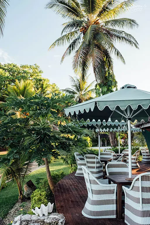 Outdoor patio with striped chairs and tables, large green umbrellas, surrounded by palm trees and lush greenery under a clear sky.