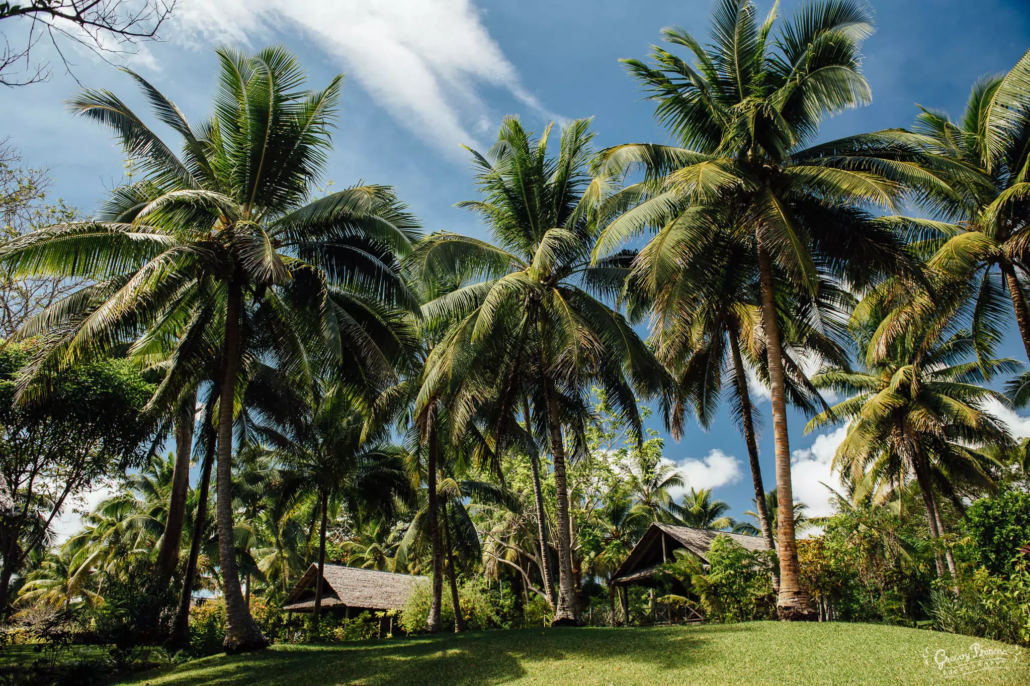 aoreisland-aug2019-web-35 (1).webp